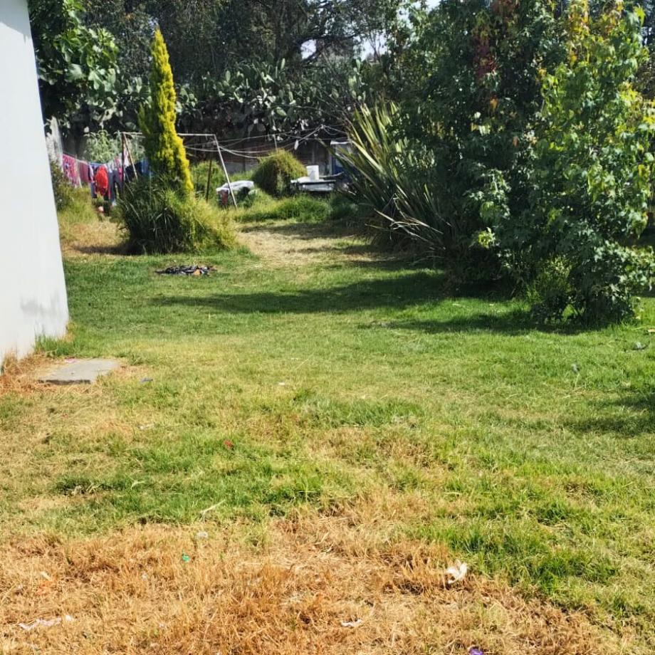 GONZALEZ Y PICHARDO, Toluca, Estado de méxico, 50120, Mexico, 1 Bedroom Bedrooms, ,Residential,For Sale,GONZALEZ Y PICHARDO,1521607