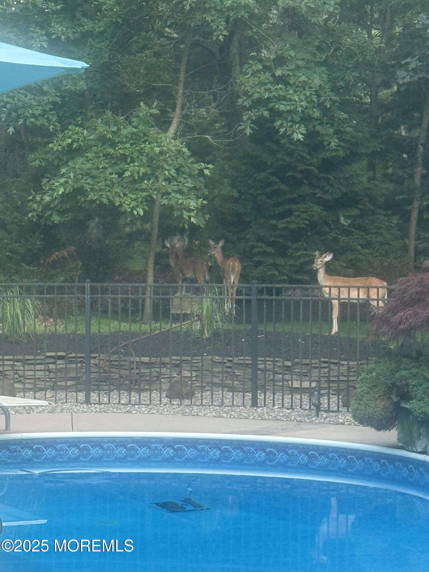 Plumsted, New Jersey, 08533, United States, 4 Bedrooms Bedrooms, ,3 BathroomsBathrooms,Residential,For Sale,1984263