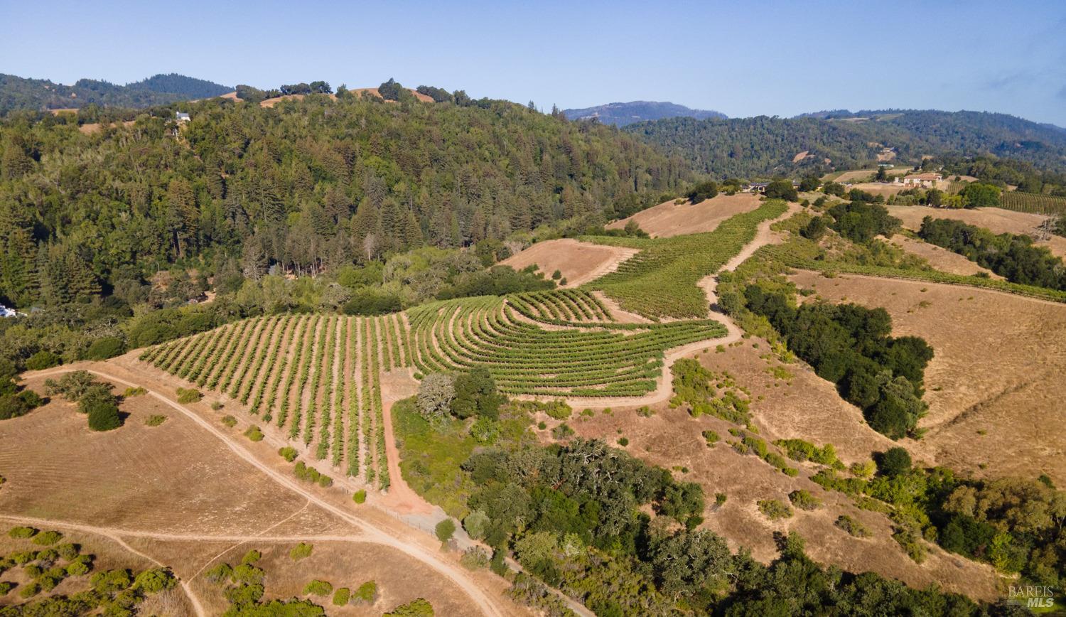 Napa, California, 94558, United States, ,Residential,For Sale,1786065