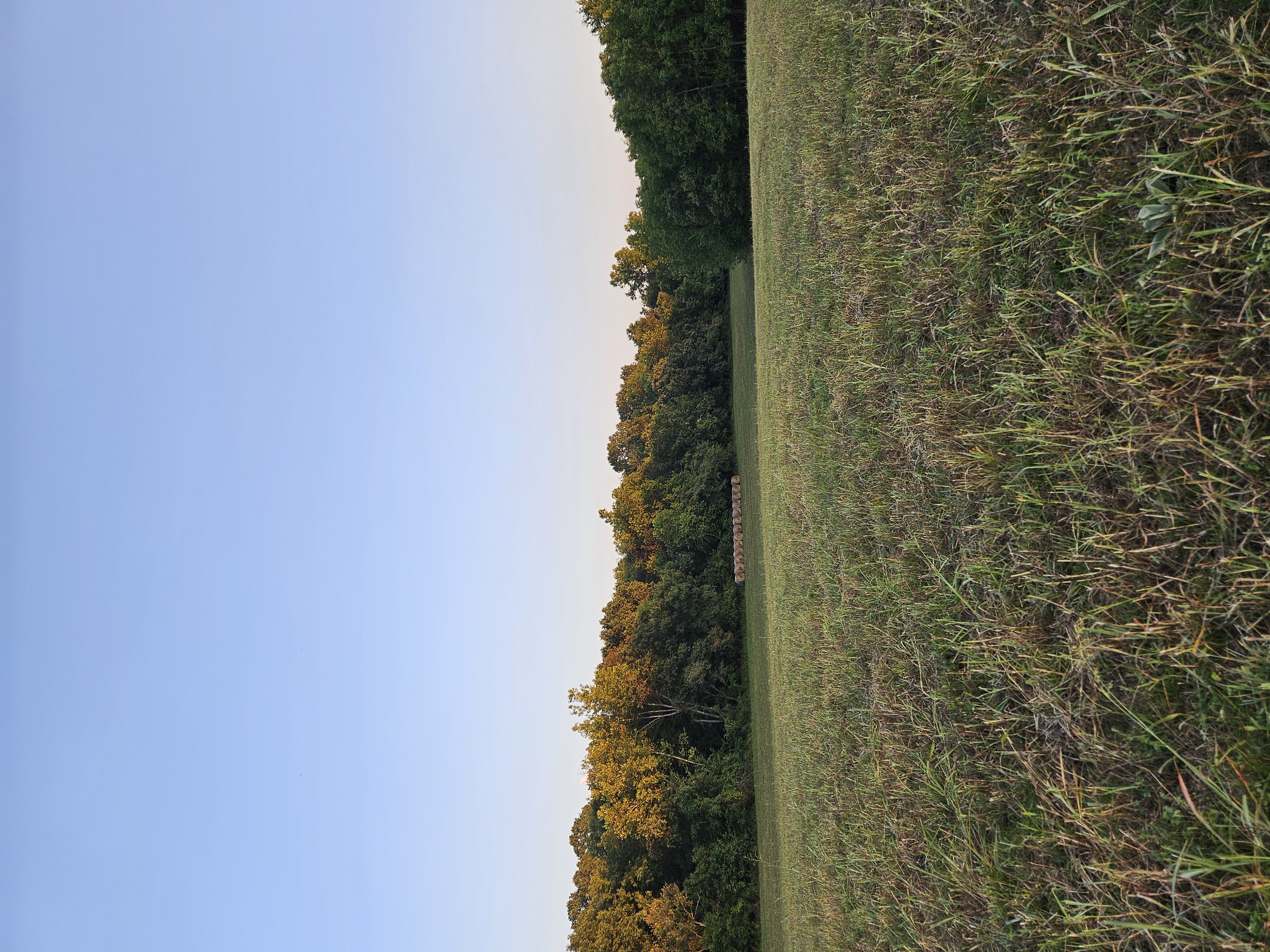 Pierce City, Missouri, 65723, United States, 5 Bedrooms Bedrooms, ,3 BathroomsBathrooms,Residential,For Sale,1975319