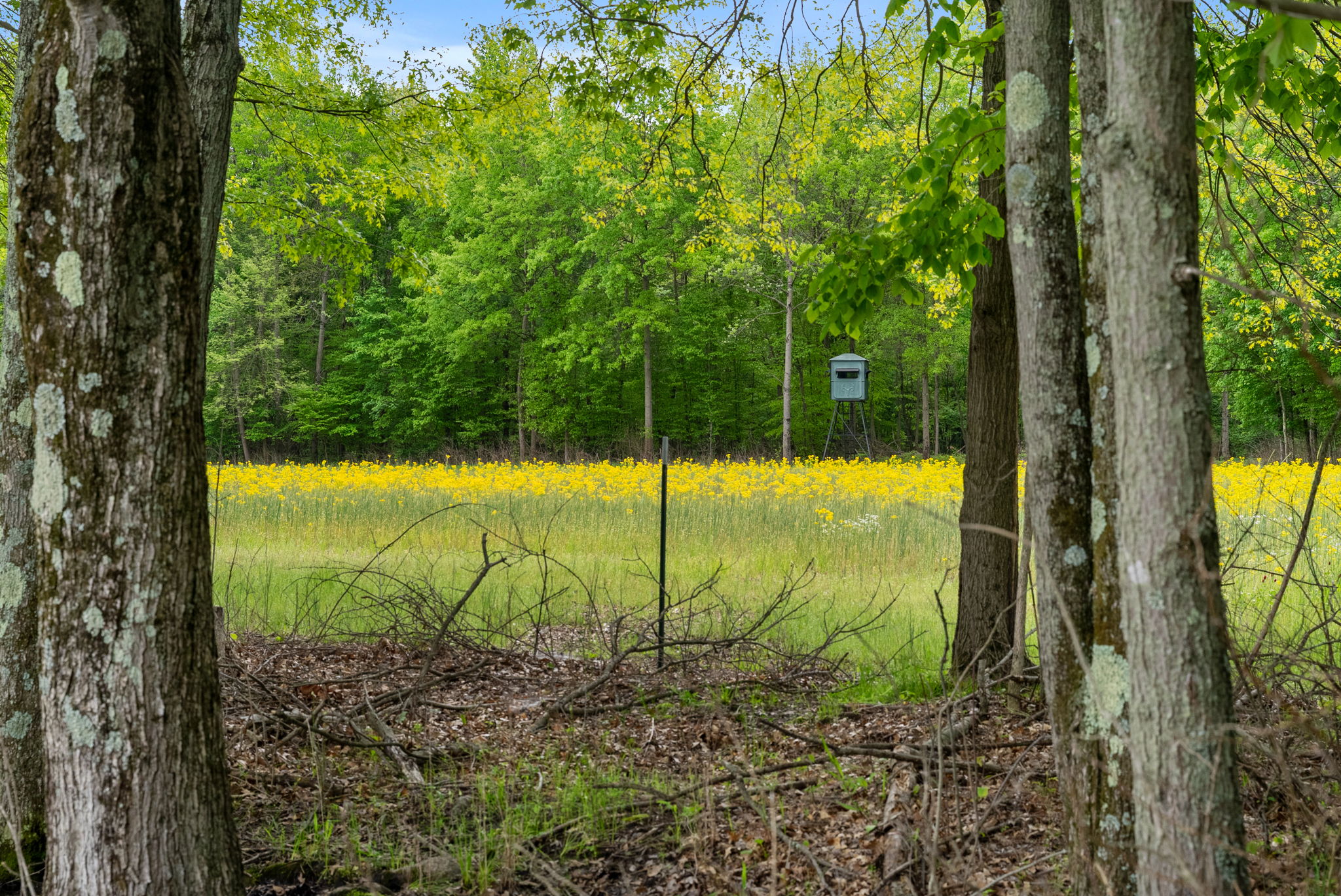Rosedale, Indiana, 47874, United States, ,Land,For Sale,2049036