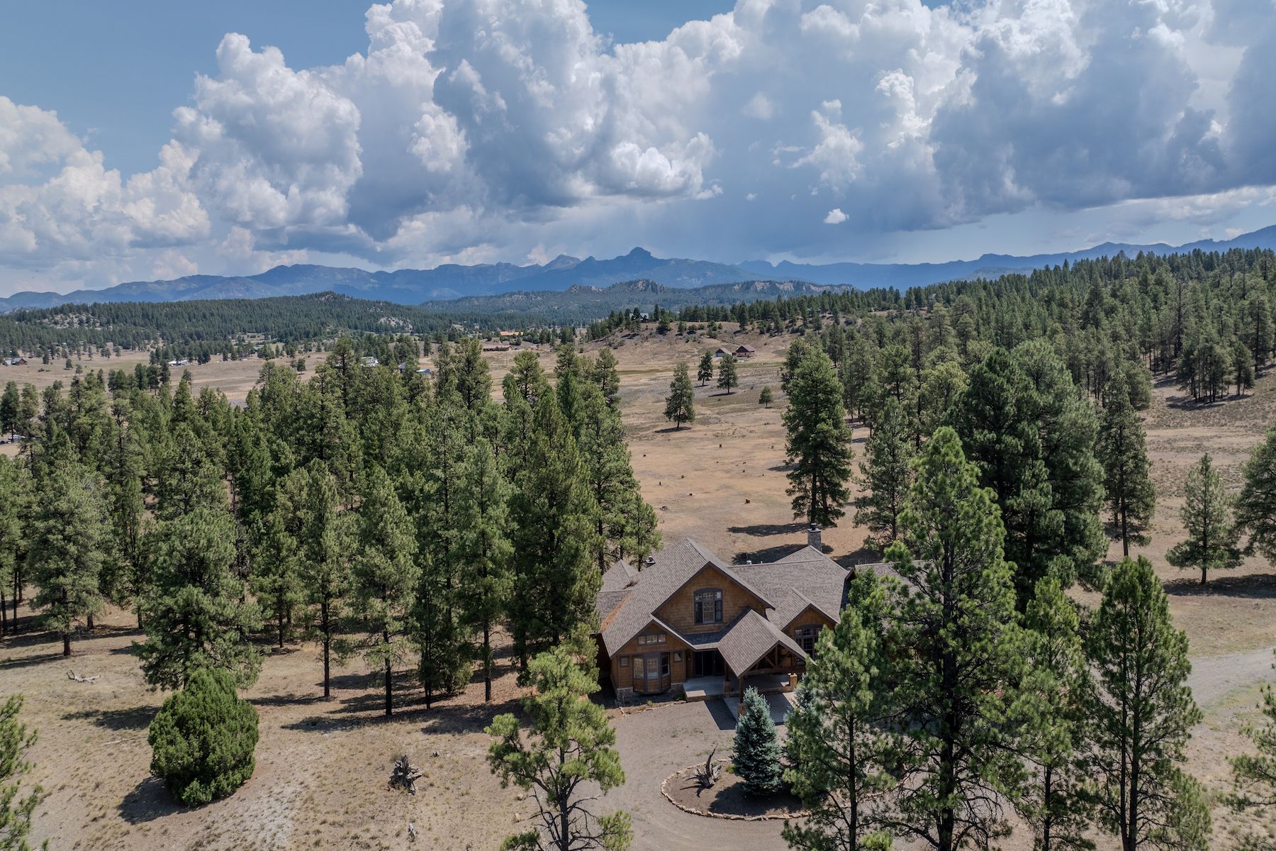  2817 Echo Canyon Ranch Lane, Pagosa Springs, CO 81147 - 物件實景
