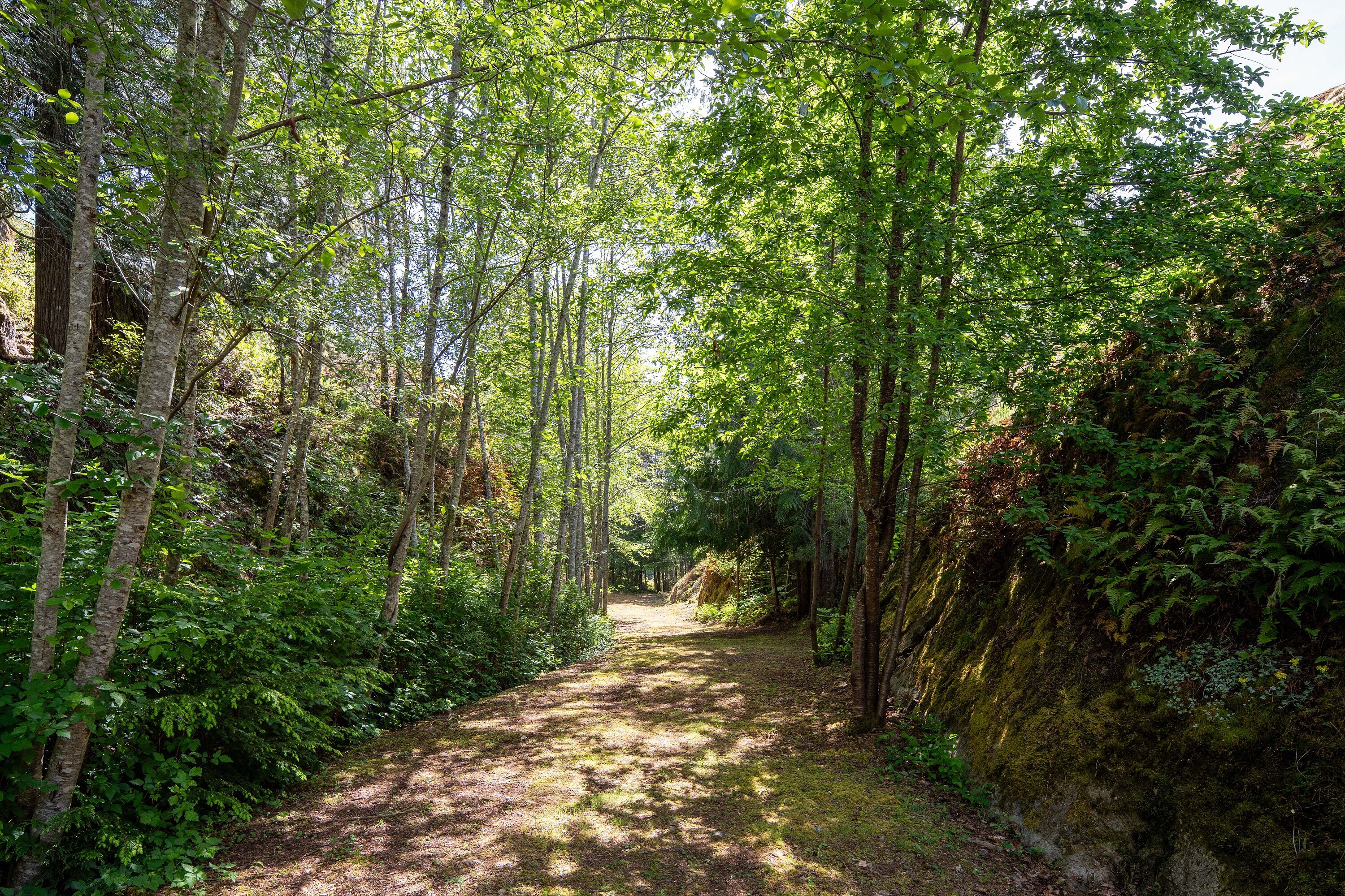  Discover A Private Oasis - 物件實景