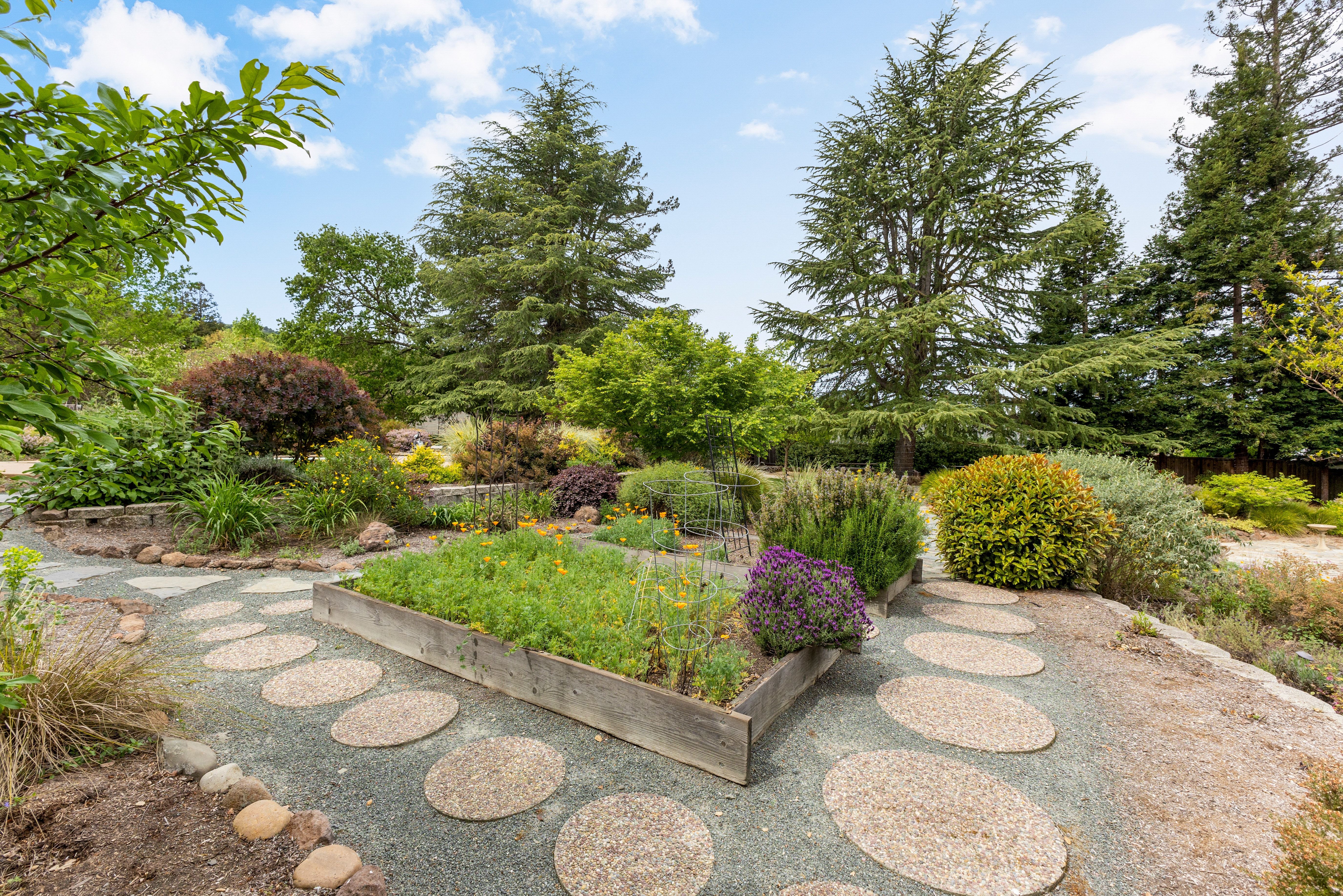  Grand Westside Danville Estate on Rare 0.60± Acre  Masterfully Reimagined - 物件實景