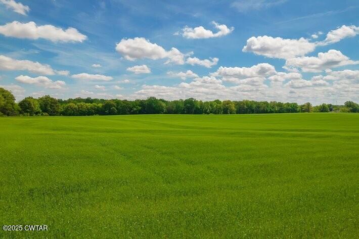Brownsville, Tennessee, 38012, United States, ,Land,For Sale,1894794