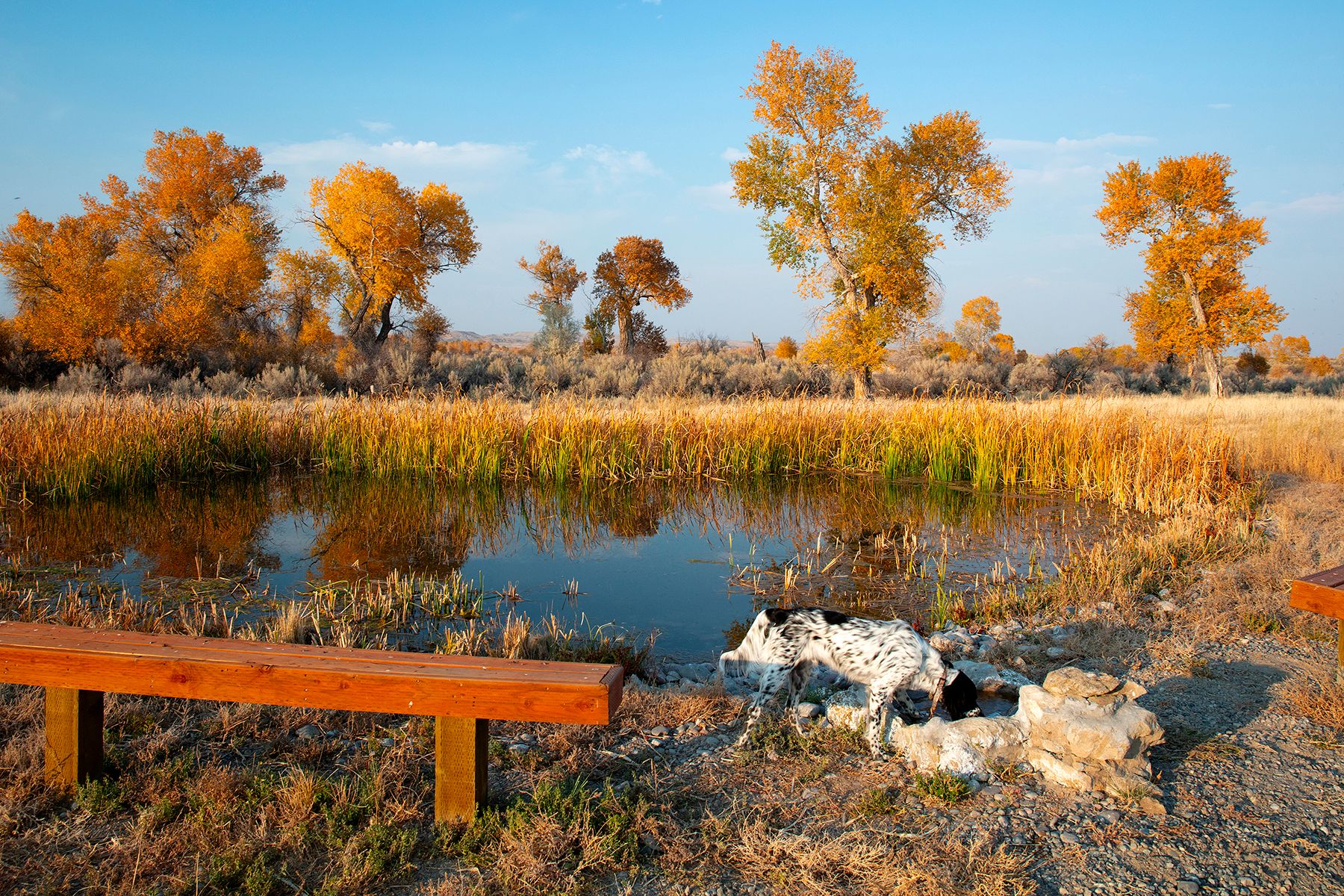  Wind River Ranch - 物件實景