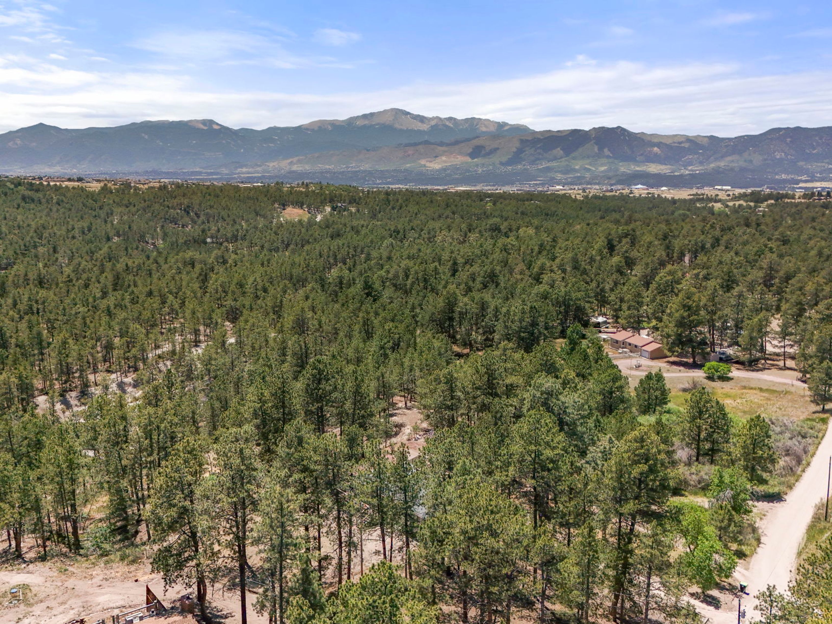  Extremely desirable southwest Black Forest location on stunning 5 wooded acres - 物件實景