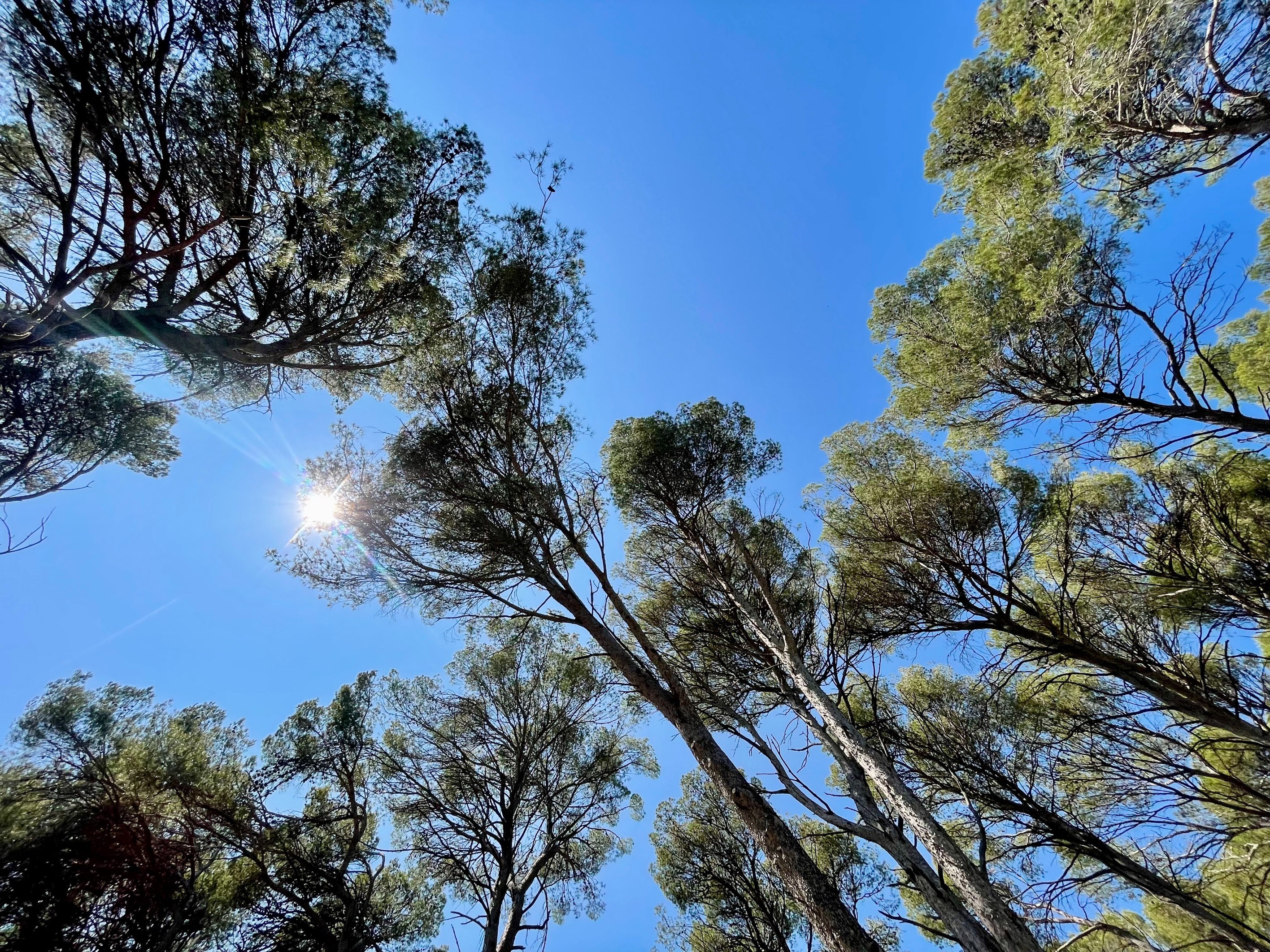  Exceptional property – Plan des Quatre Seigneurs, Montpellier - 物件實景