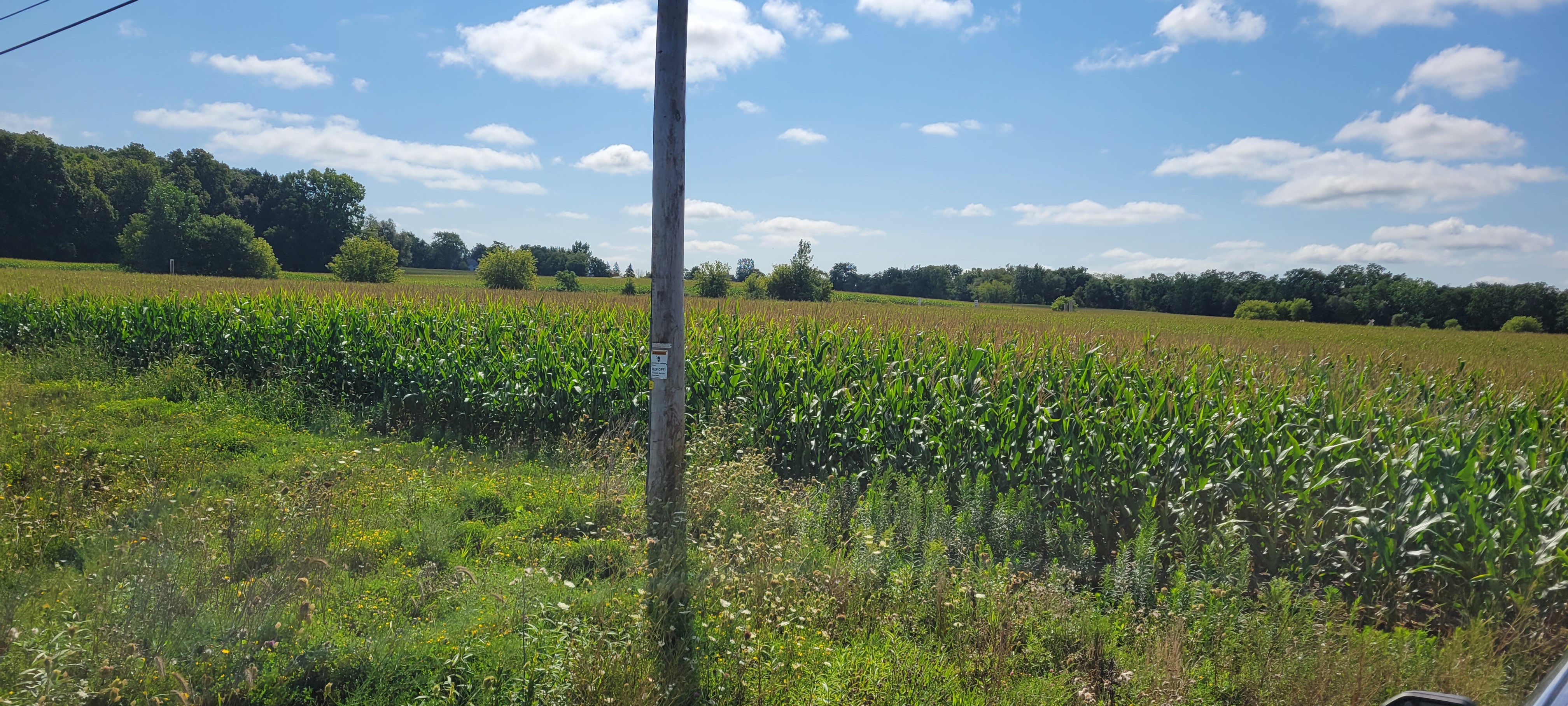 Lt1 Old Green Bay Rd, Kenosha, Wisconsin, 53144, United States, ,Land,For Sale,Lt1 Old Green Bay Rd,1432094
