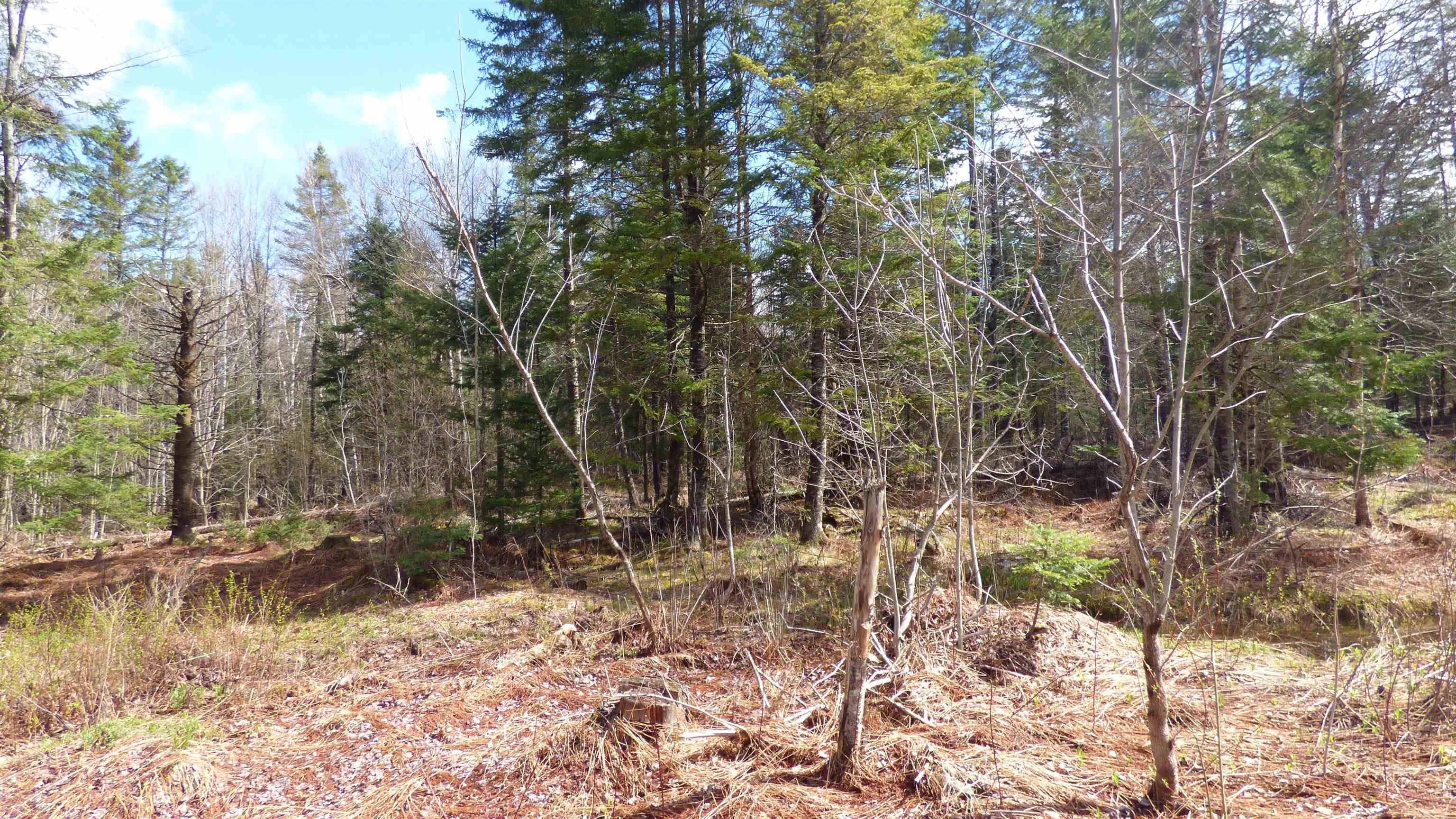 Wheelock, Vermont, 05851, United States, ,Land,For Sale,2017669