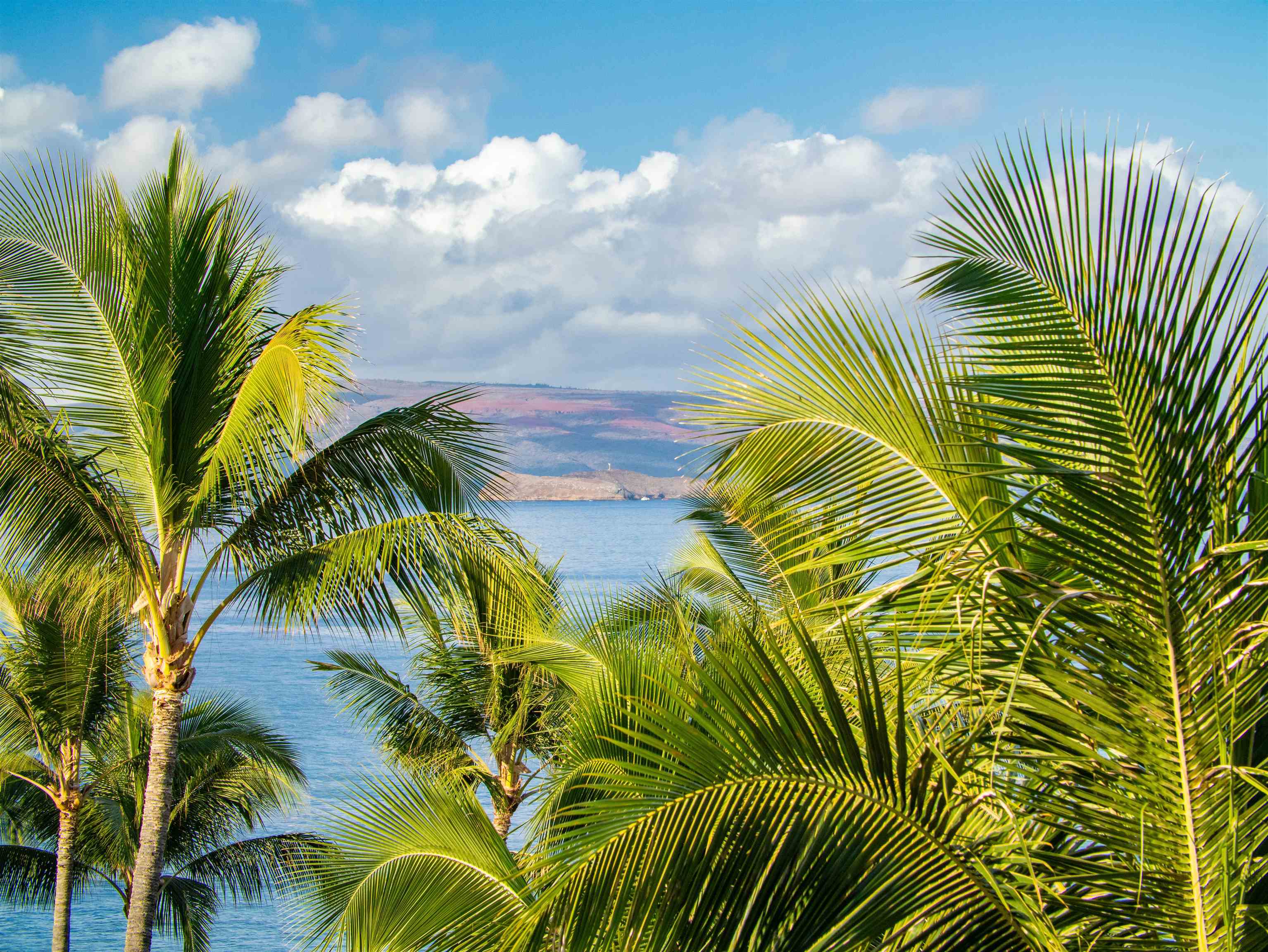 Kihei, Hawaii, 96753, United States, 2 Bedrooms Bedrooms, ,2 BathroomsBathrooms,Residential,For Sale,1989606