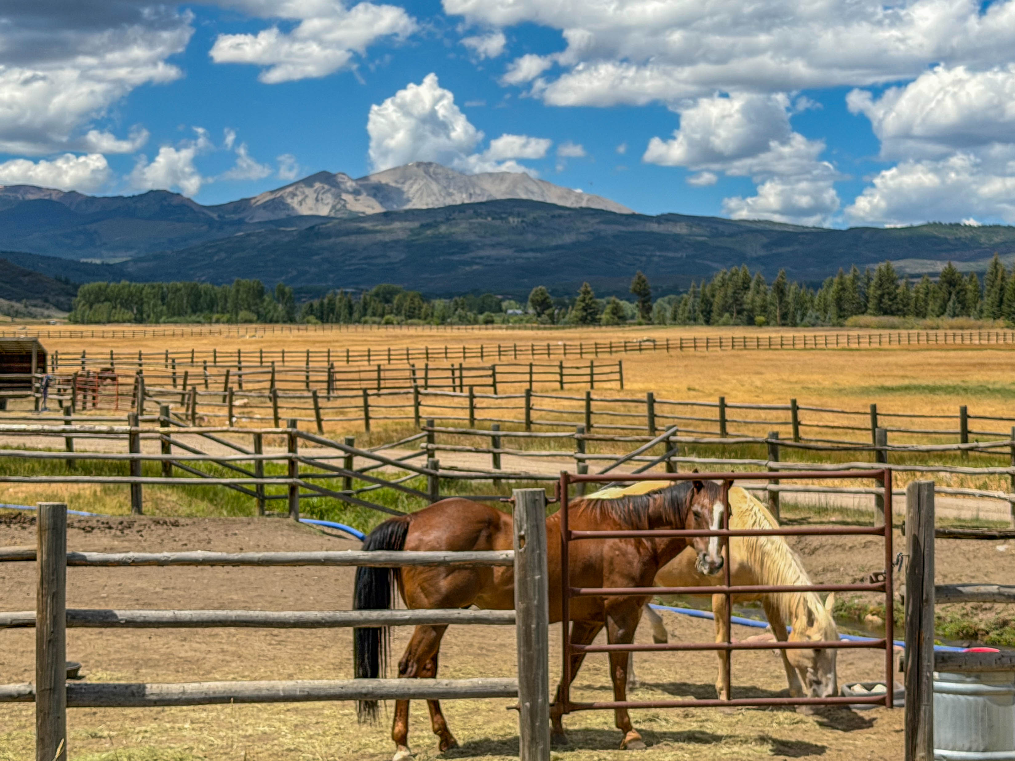  A Beautifully Reimagined Lazy O Ranch Estate with Unparalleled Mt. Sopris Views - 物件實景