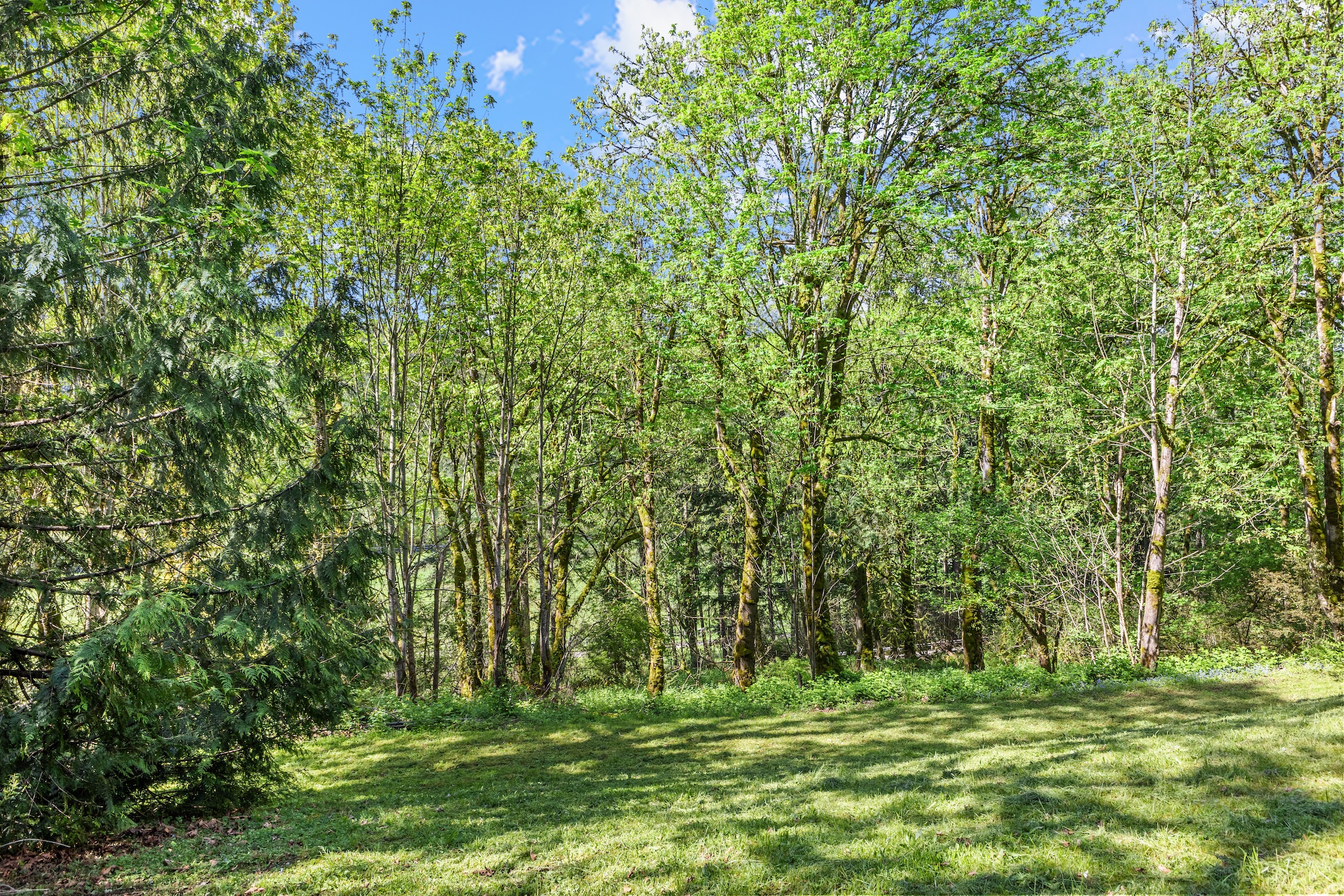  Custom Built in South Firs - 物件實景