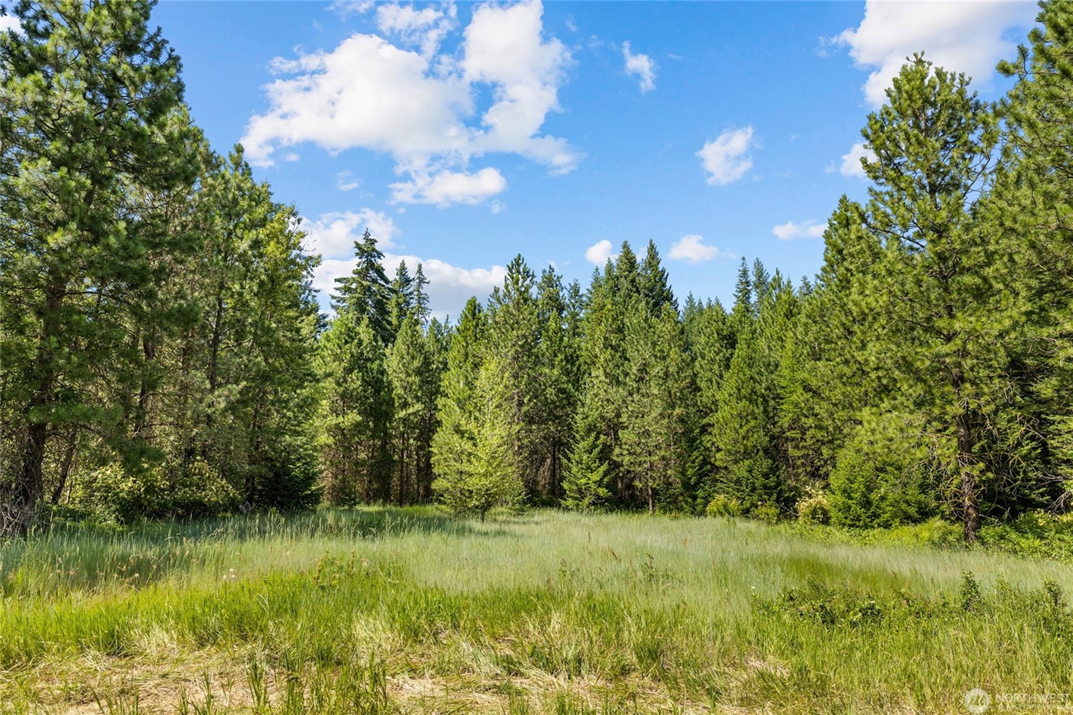  The Cozy Timber Cabin in Cle Elum - 物件實景