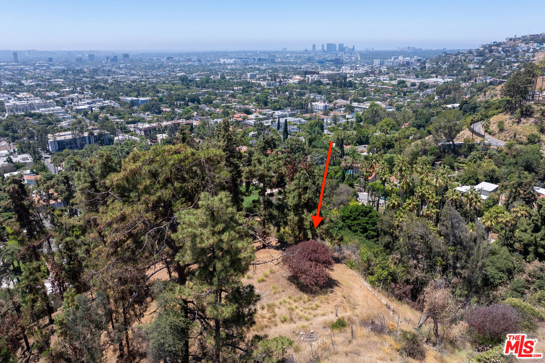 Los Angeles, California, 90046, United States, ,Land,For Sale,1891121
