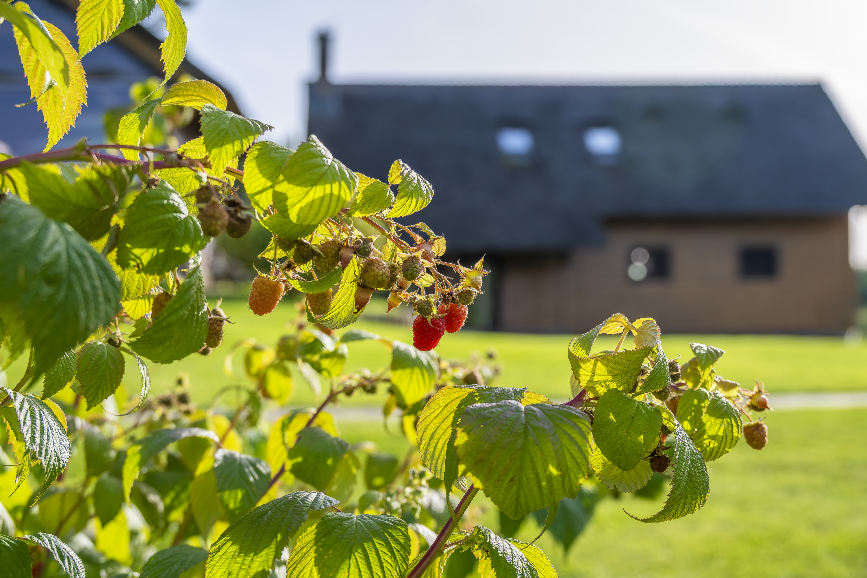  Romantic family homestead with a long lakeside - 物件實景