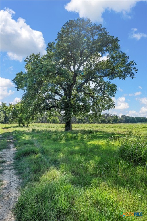 Waco, Texas, 76708, United States, ,Land,For Sale,1989373