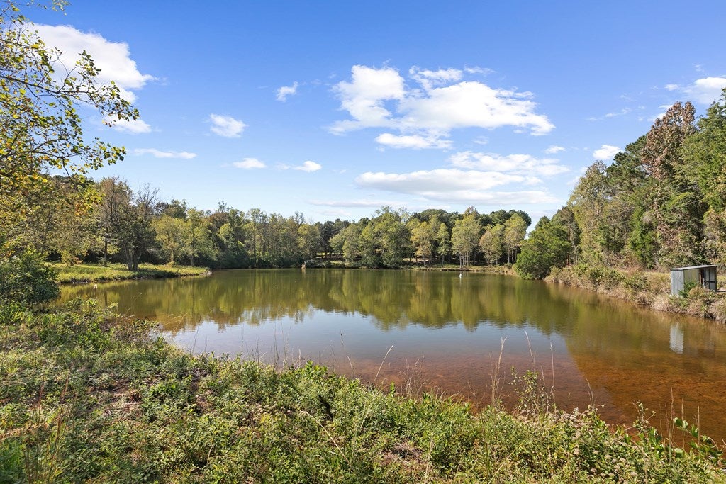 Midland City, Alabama, 36350, United States, 4 Bedrooms Bedrooms, ,3 BathroomsBathrooms,Residential,For Sale,1989153