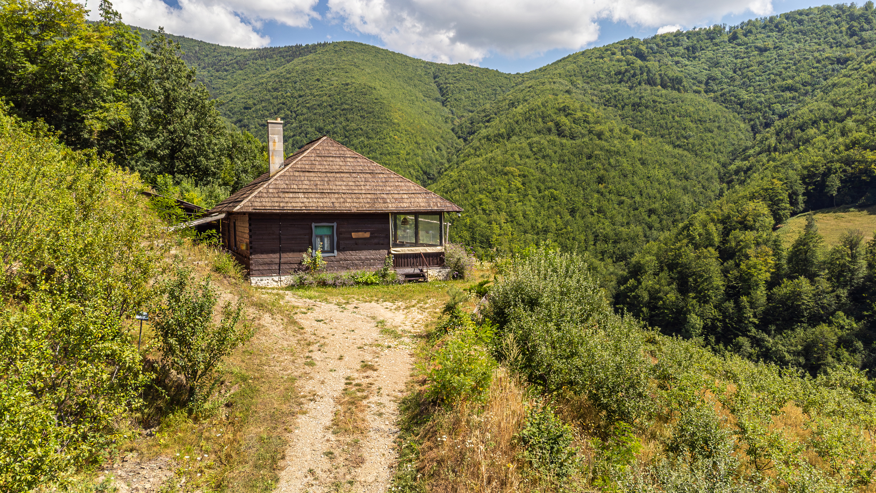  Versatile 22-Hectare Private Estate - Forested Heart of the Apuseni Mountains - 物件實景