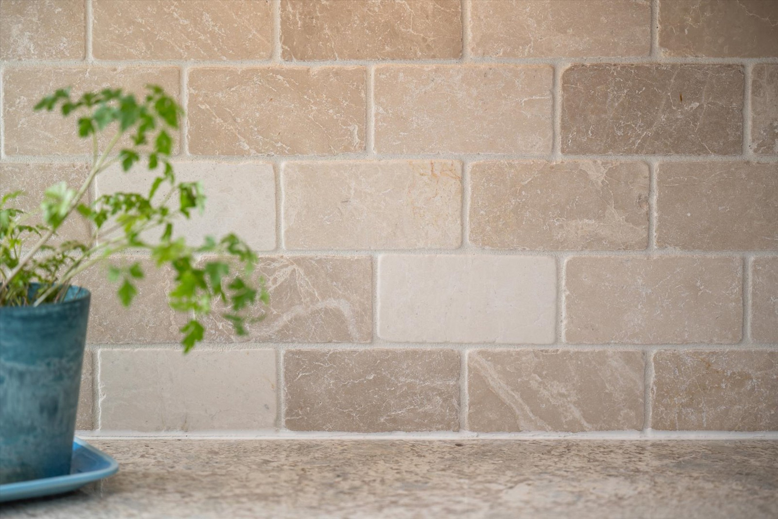  THE PRESERVE AT CLARKSVILLE - 物件實景