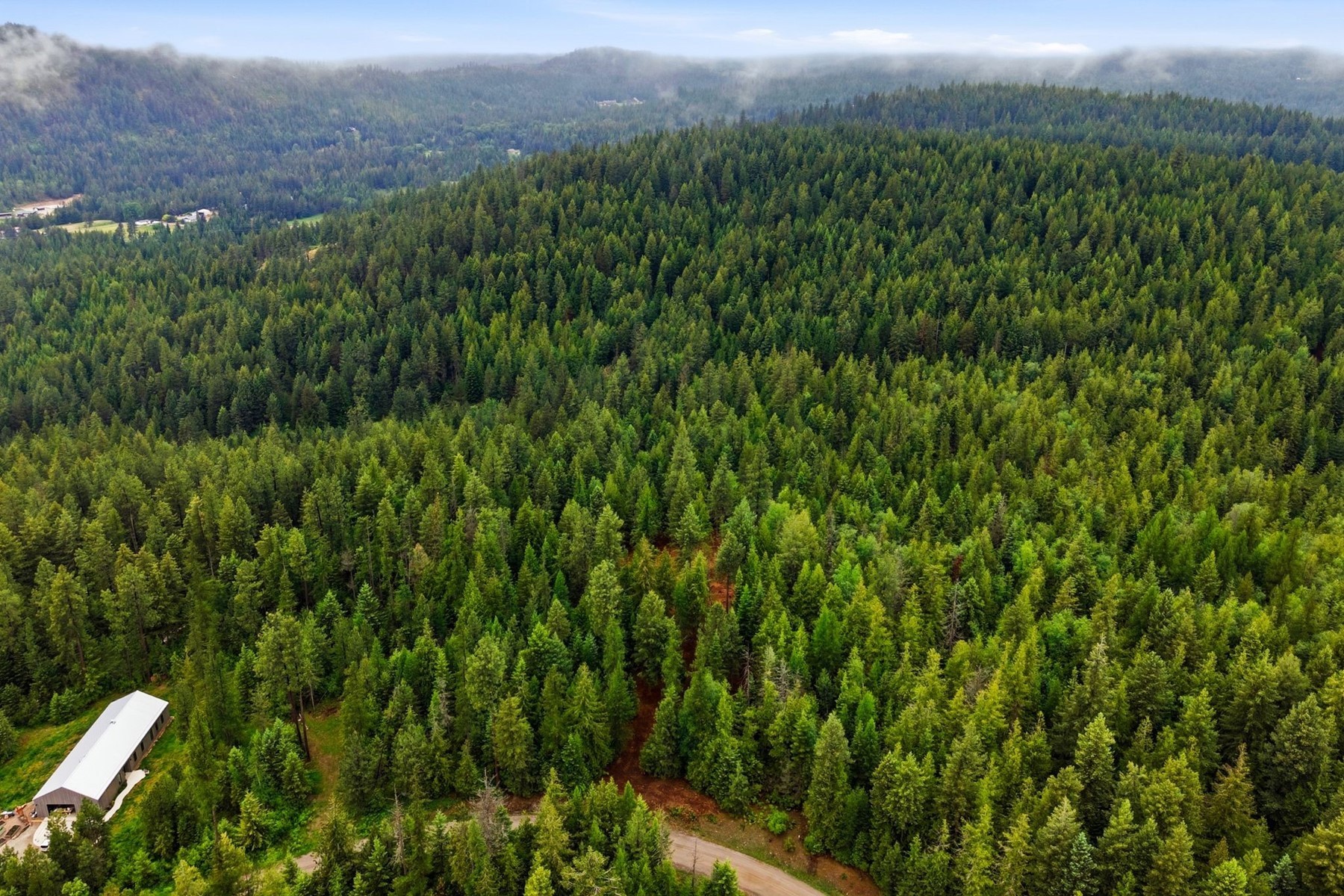  East of Clark Fork - 物件實景