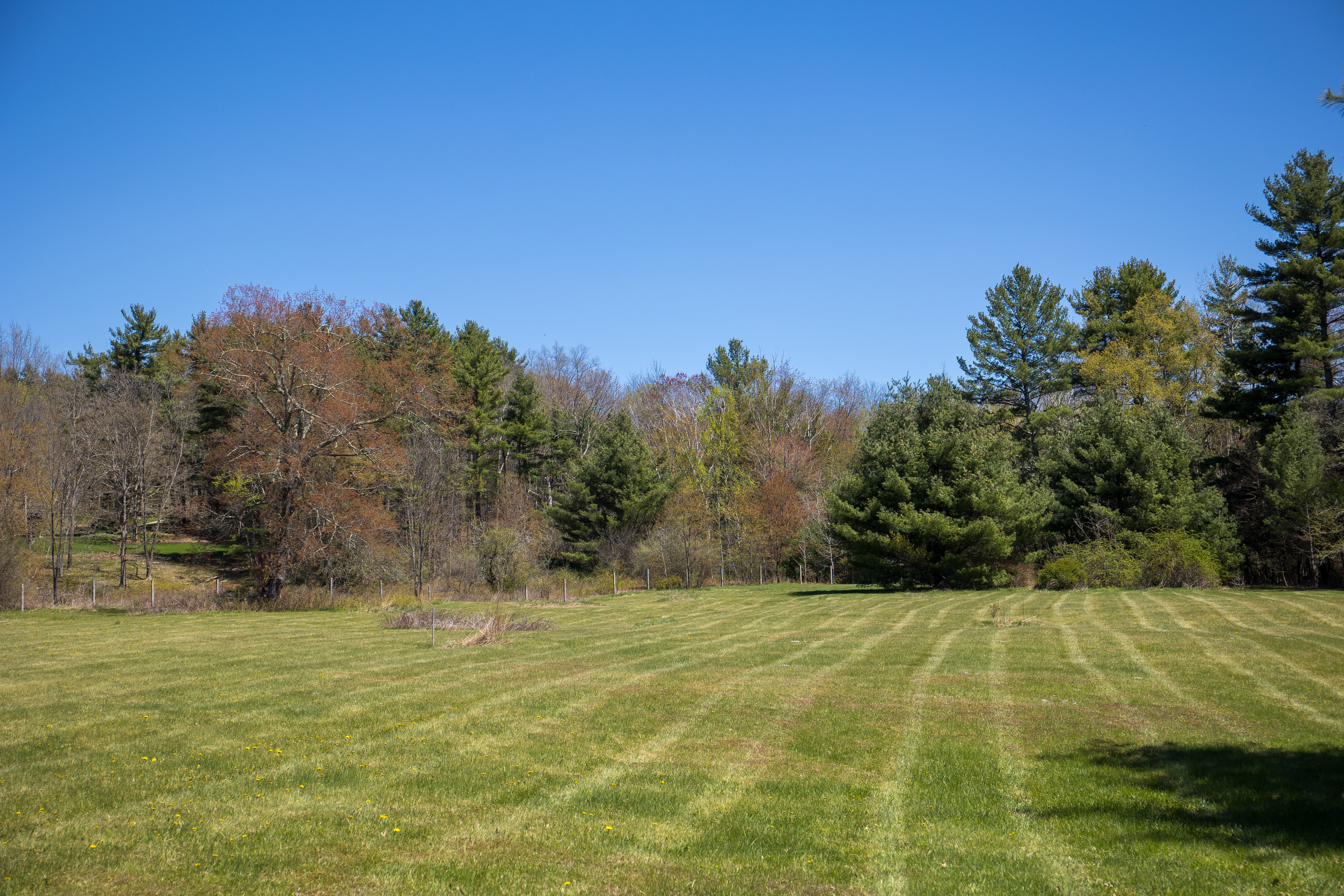  A Tranquil Berkshire Legacy: 22 Scenic Acres and a Landmark 3-Story Barn, Brookm - 物件實景