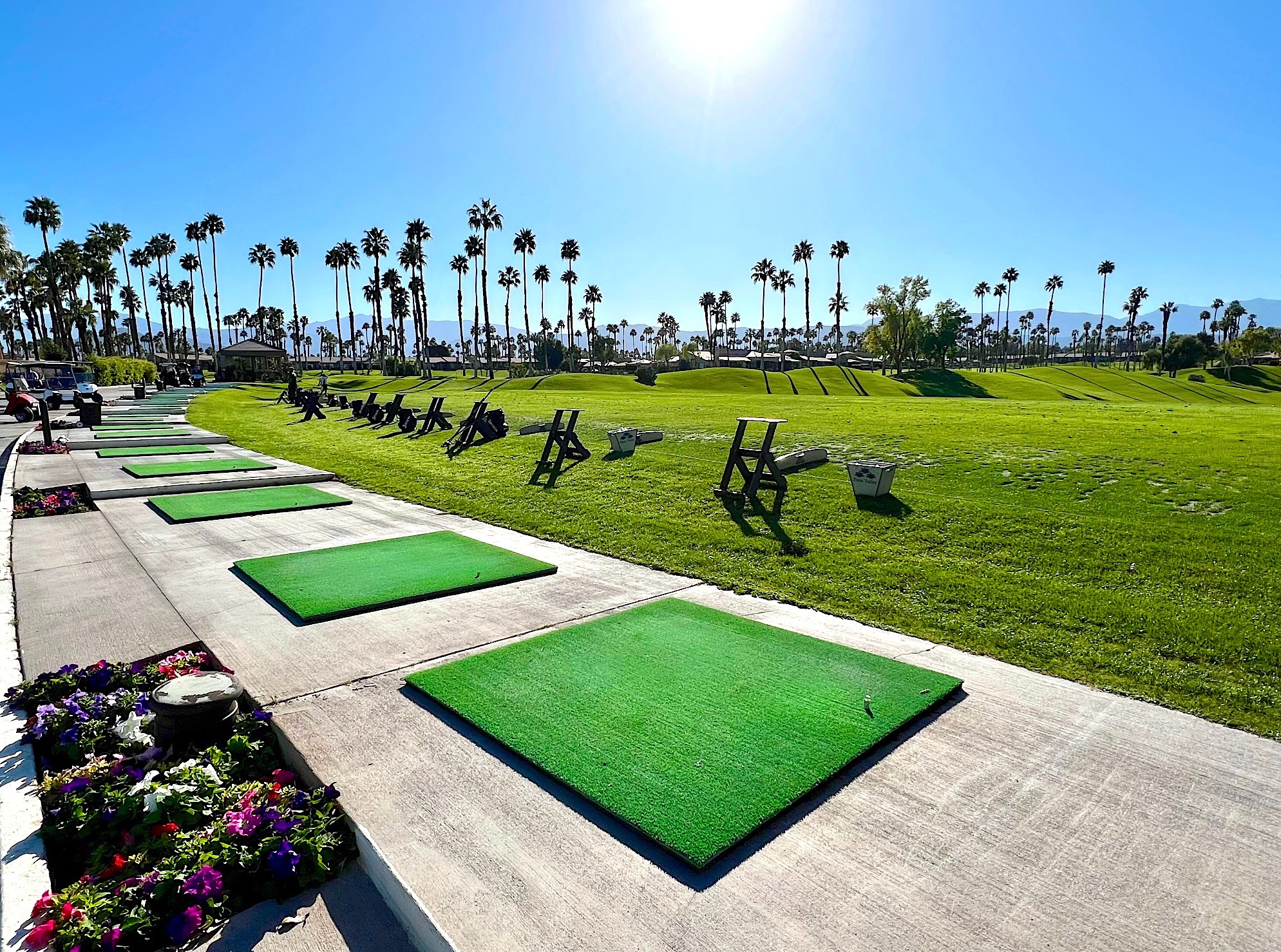  38689 Dahlia Way - 物件實景