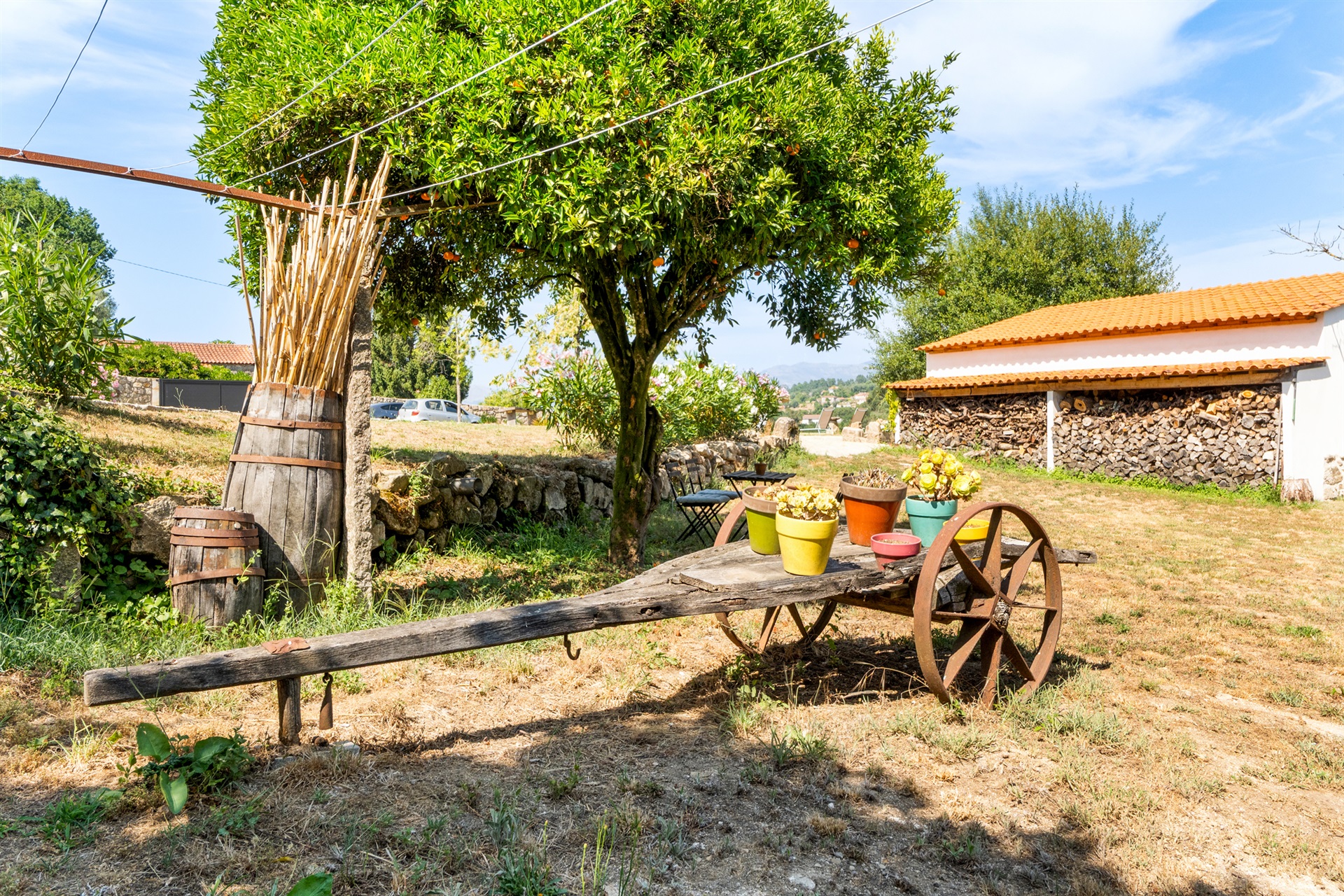  Farm, 6 bedrooms, for Sale - 物件實景