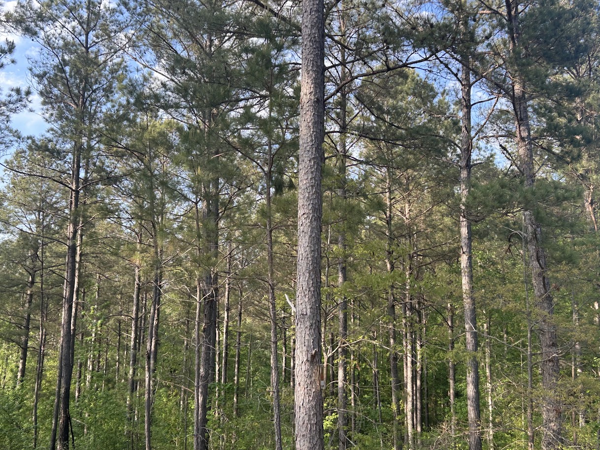 Roopville, Georgia, 30170, United States, ,Residential,For Sale,1780793
