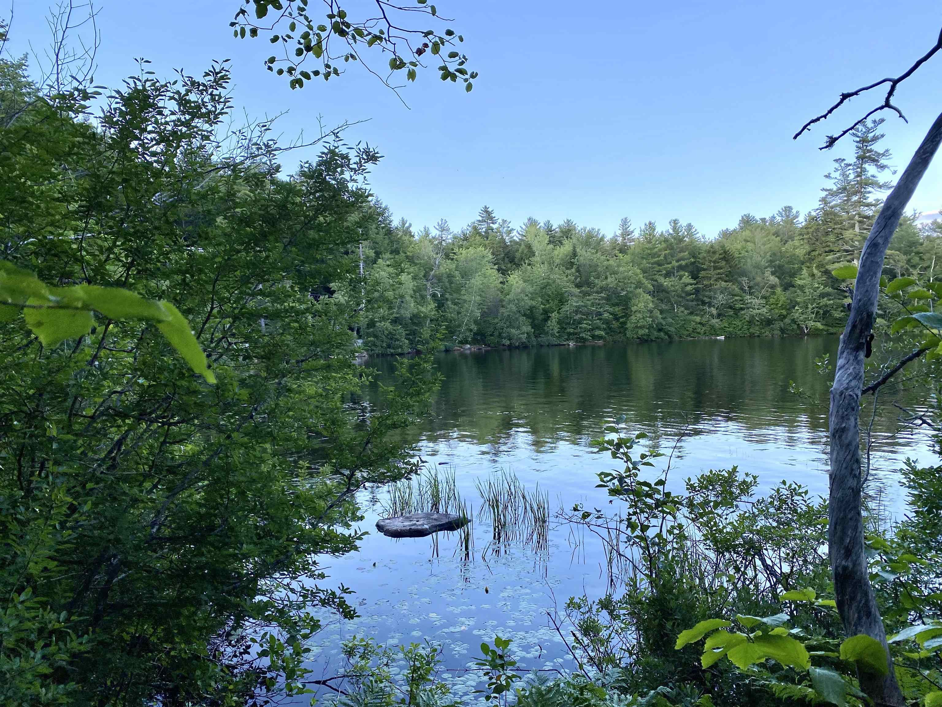 Springfield, New Hampshire, 03284, United States, ,Residential,For Sale,1941786