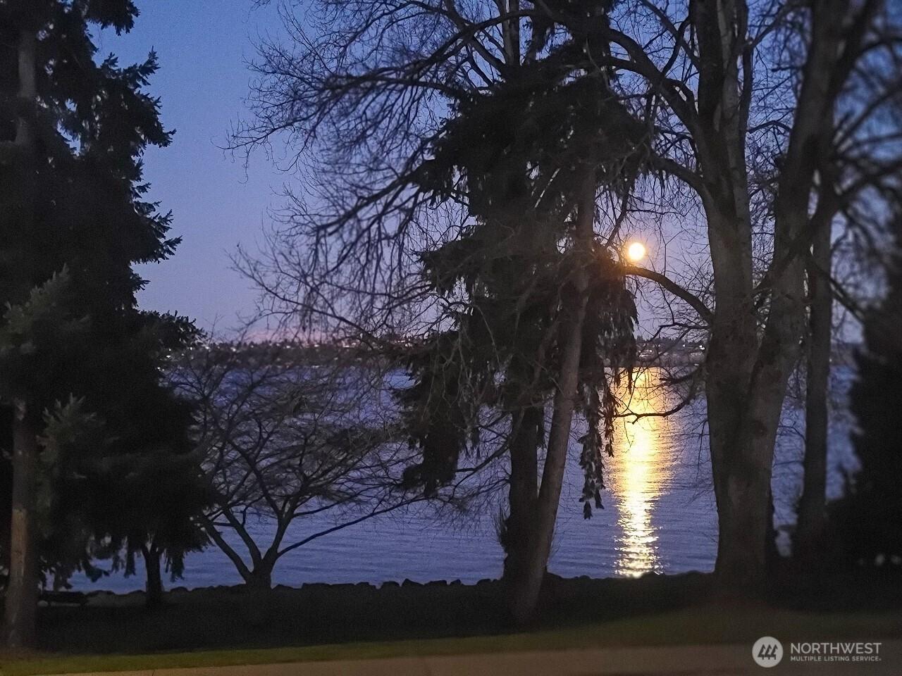 KIRKLAND, Washington, 98033, United States, 2 Bedrooms Bedrooms, ,2 BathroomsBathrooms,Residential,For Sale,1827851