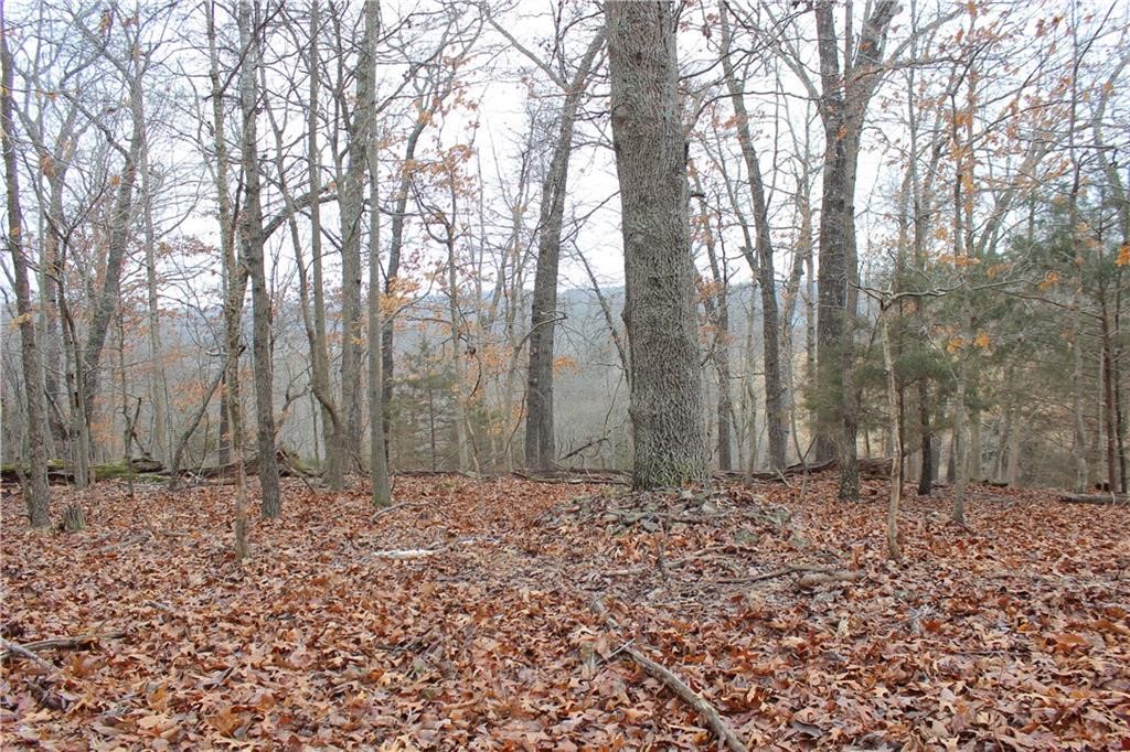 Rogers, Arkansas, 72756, United States, ,Land,For Sale,1966803