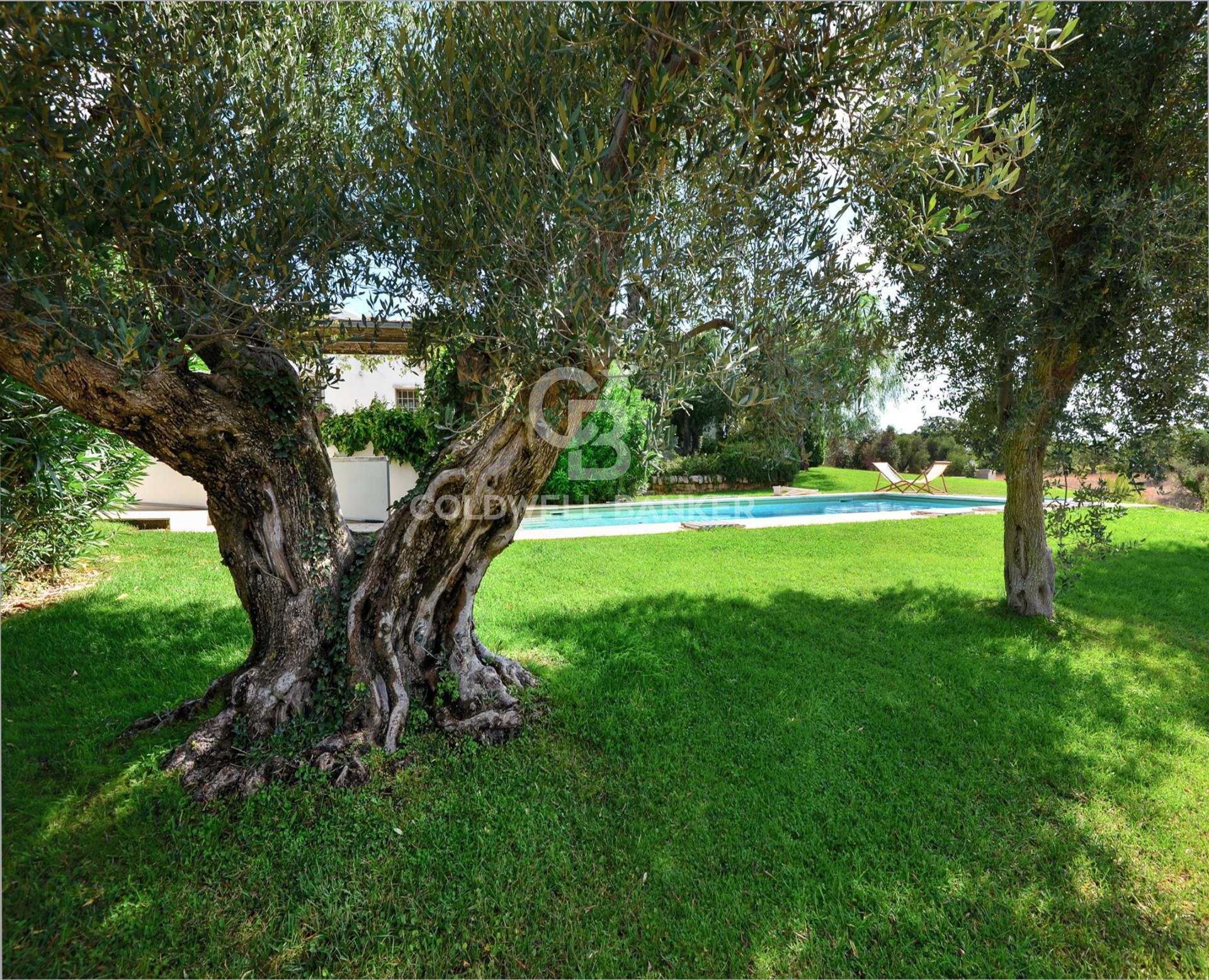 Contrada San Salvatore, Ostuni, Brindisi, 72017, IT, 5 Bedrooms Bedrooms, ,6 BathroomsBathrooms,Residential,For Sale,Contrada San Salvatore,1441436