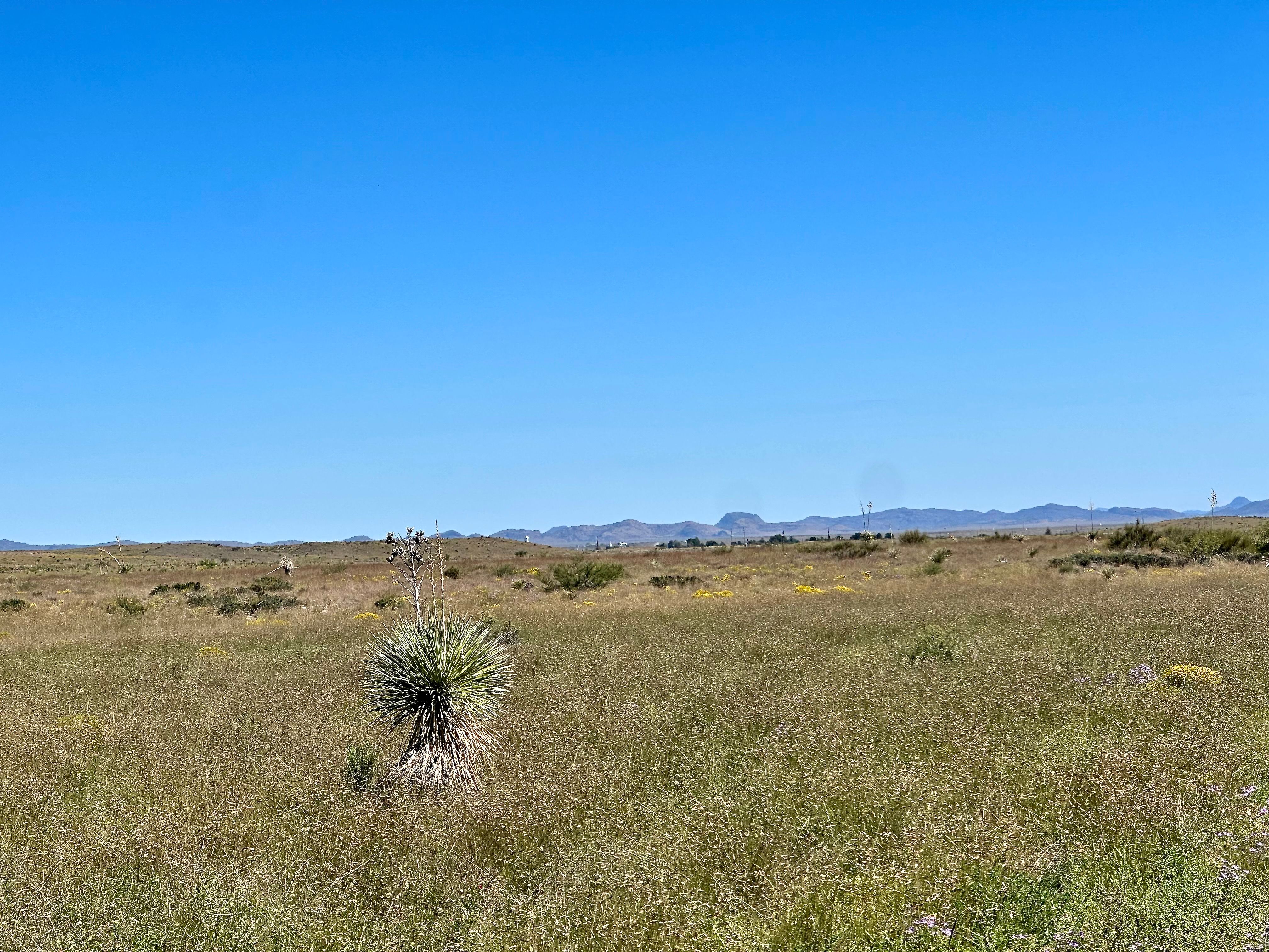  18311 Hwy 90, Marfa, TX 79843 - 物件實景