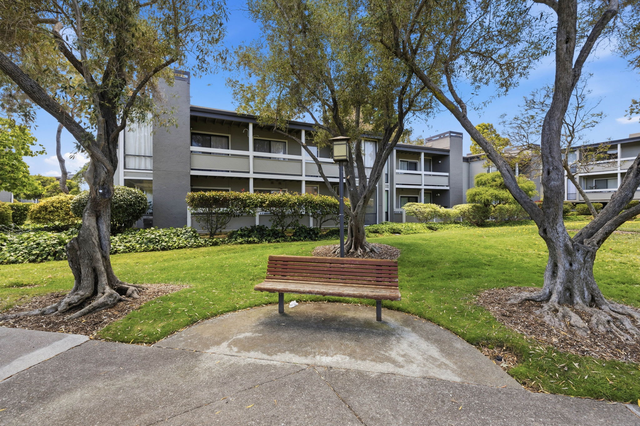  Fabulous Foster City Condo - 物件實景