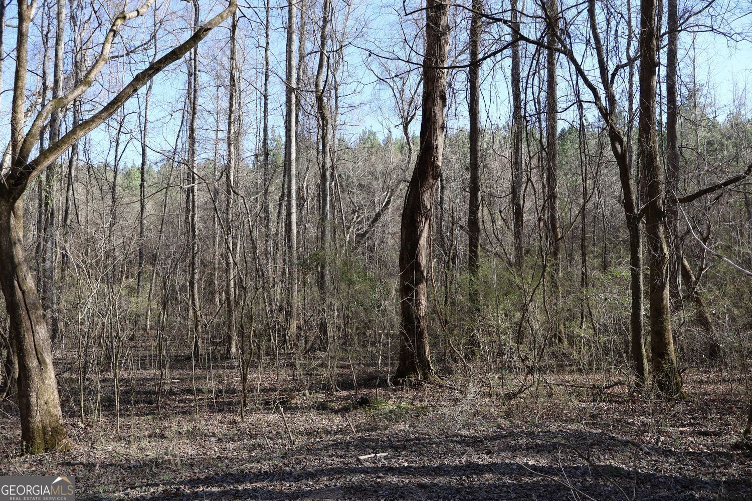 Forsyth, Georgia, 31029, United States, ,Land,For Sale,1907989