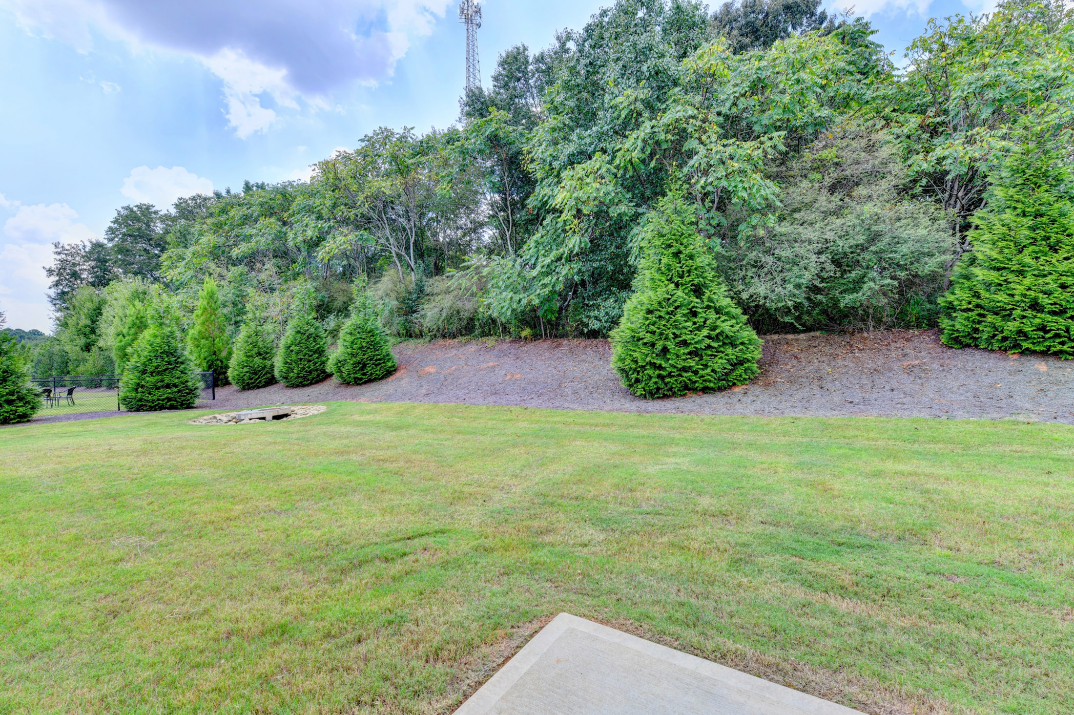  Active Adult Nearly-new Ranch Home in the Heart of Hickory Flat Area of Canton - 物件實景