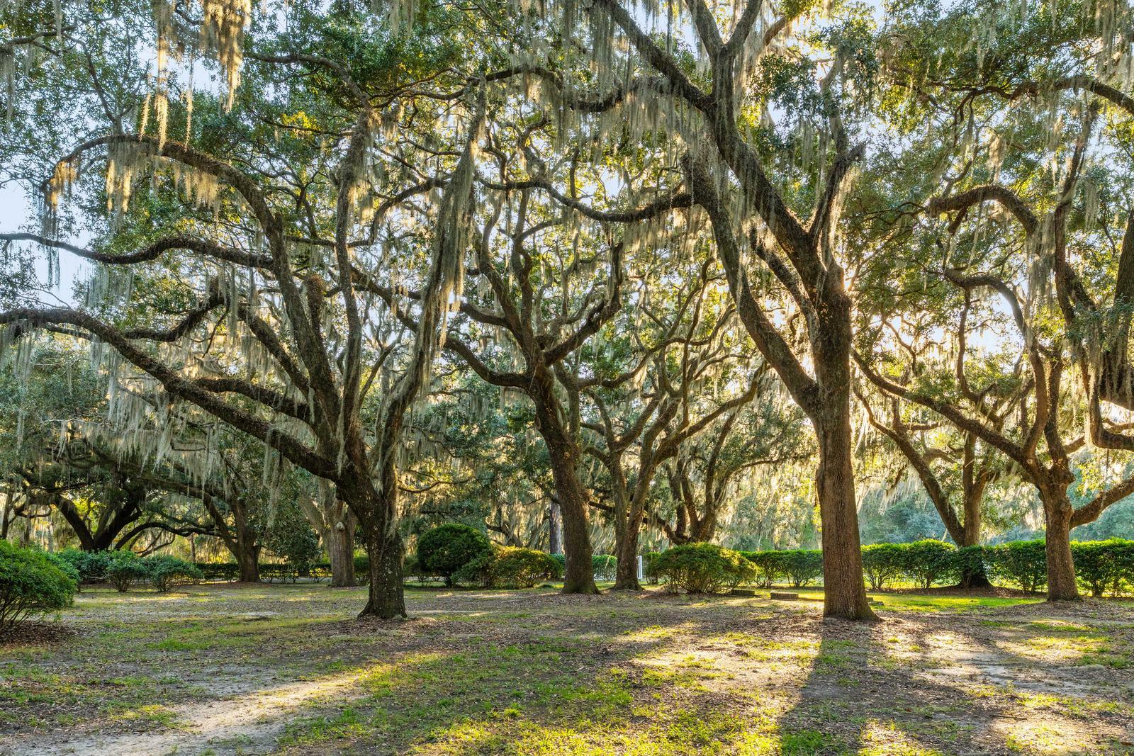 Yemassee, South Carolina, 29945, United States, 6 Bedrooms Bedrooms, ,7 BathroomsBathrooms,Residential,For Sale,1989284