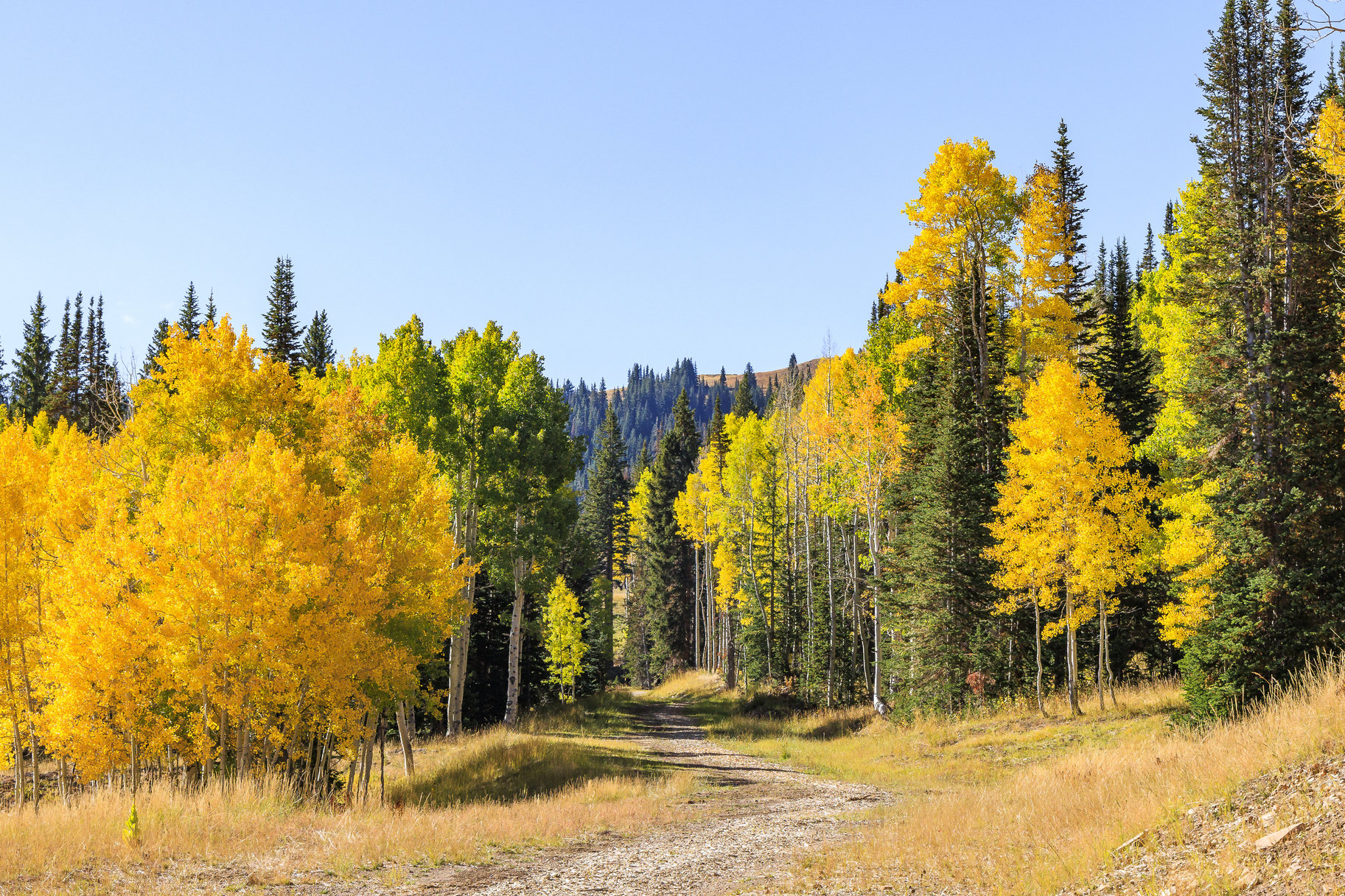  Incredible 28 Acre Estate Lot in the Colony at White Pine Canyon - 物件實景
