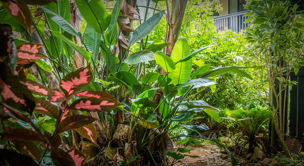Princeville, Hawaii, 96722, United States, 2 Bedrooms Bedrooms, ,2 BathroomsBathrooms,Residential,For Sale,1866789