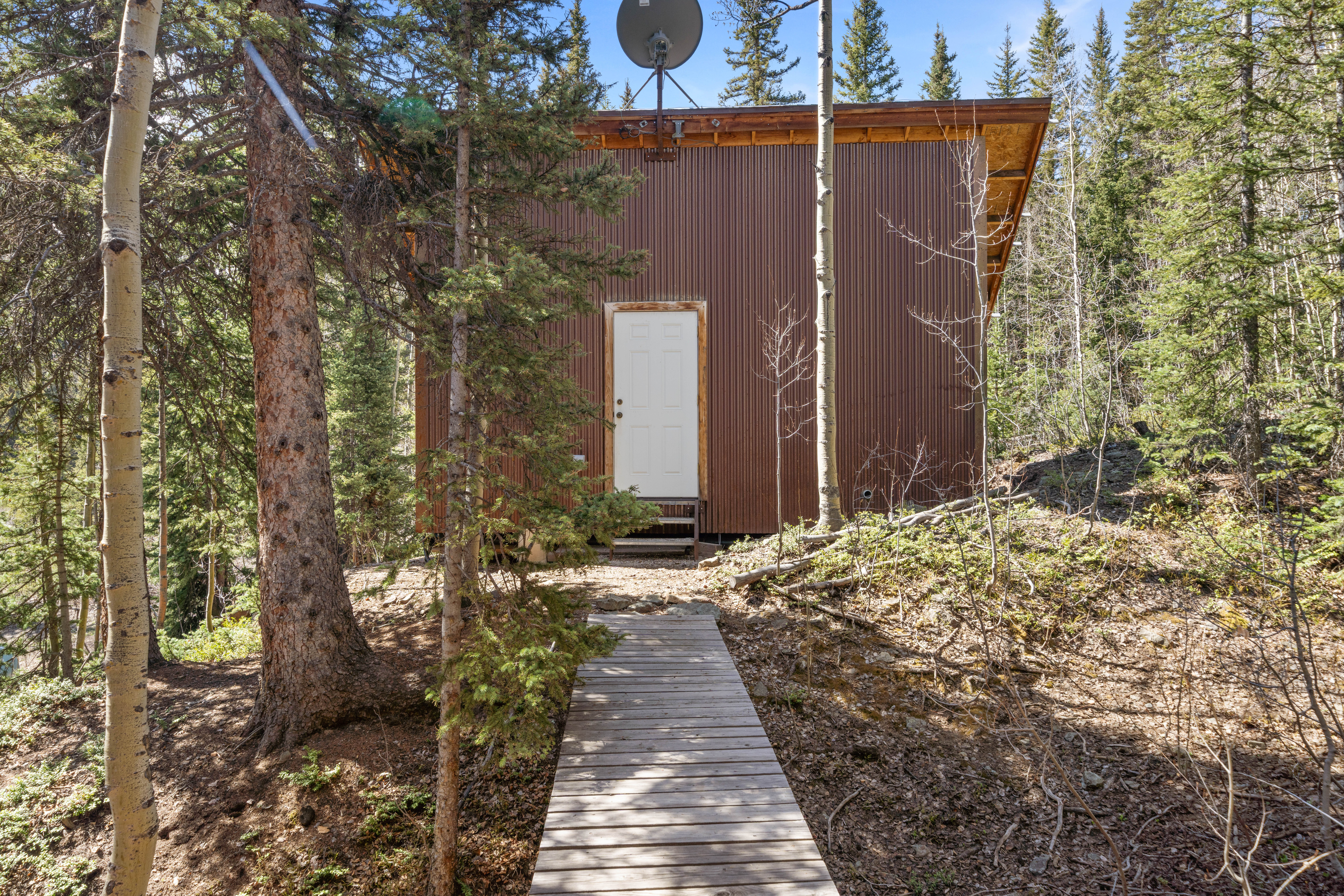 Alpine Estate with Acreage between Ouray and Silverton - 物件實景