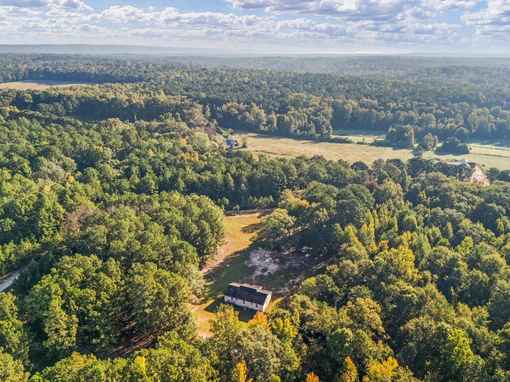 Jc Reynolds Rd, Shiloh, GA 31826 #1