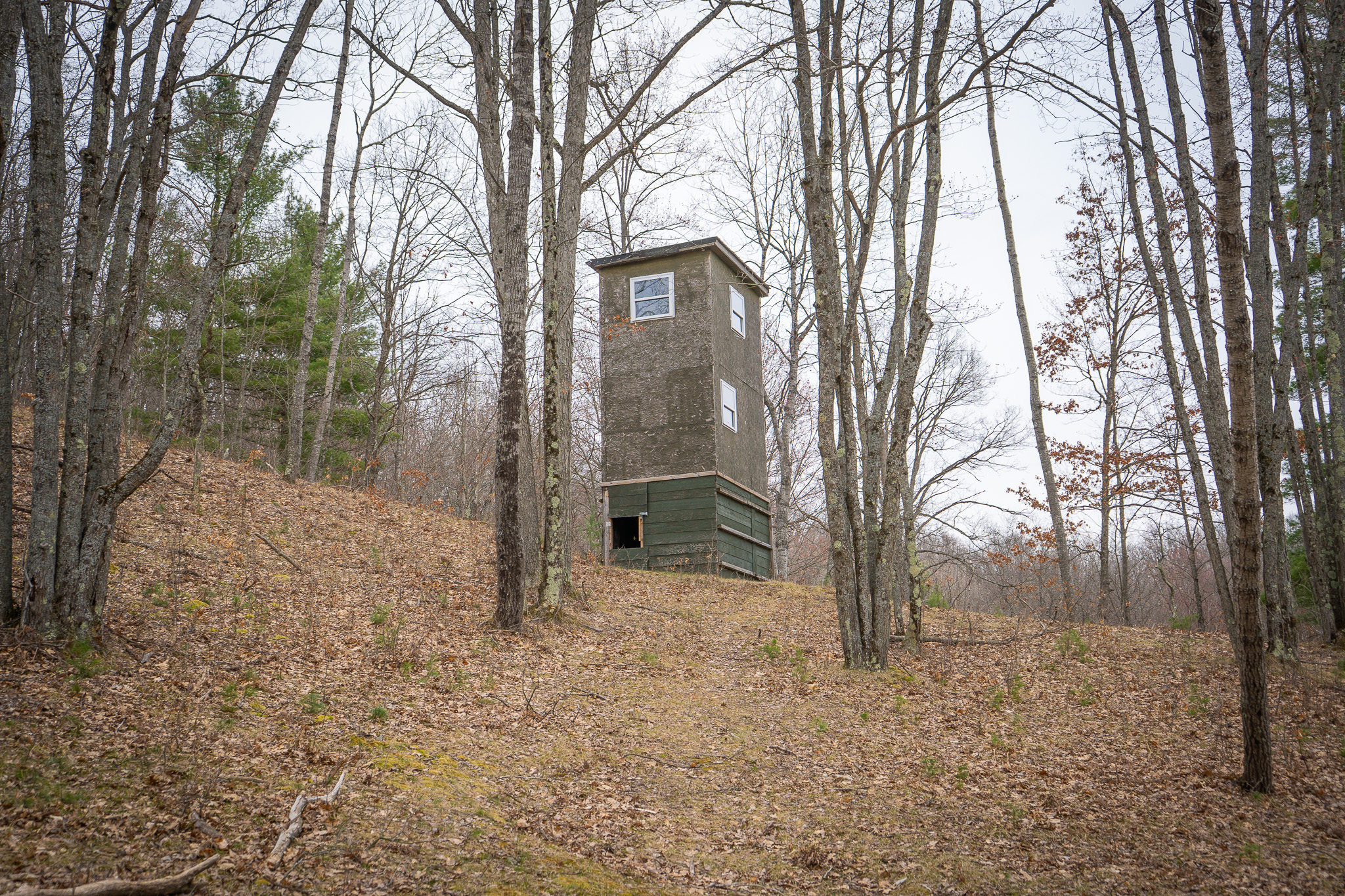 Wellston, Michigan, 49689, United States, 3 Bedrooms Bedrooms, ,2 BathroomsBathrooms,Residential,For Sale,1792429