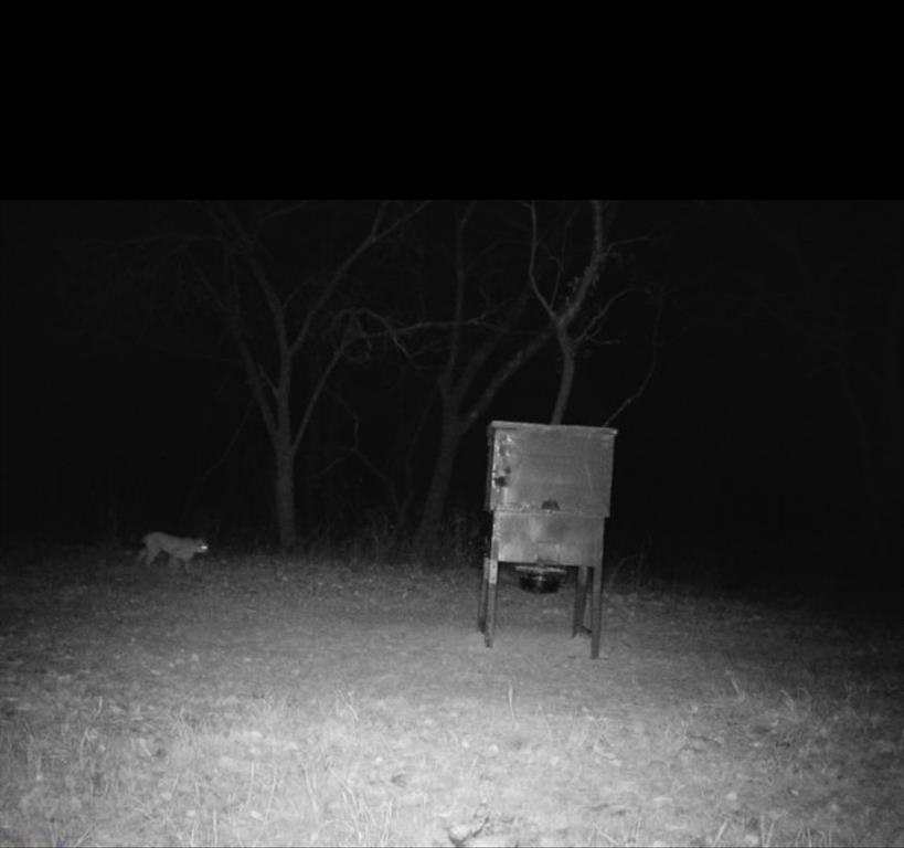 Alvord, Texas, 76225, United States, 3 Bedrooms Bedrooms, ,2 BathroomsBathrooms,Residential,For Sale,2006100