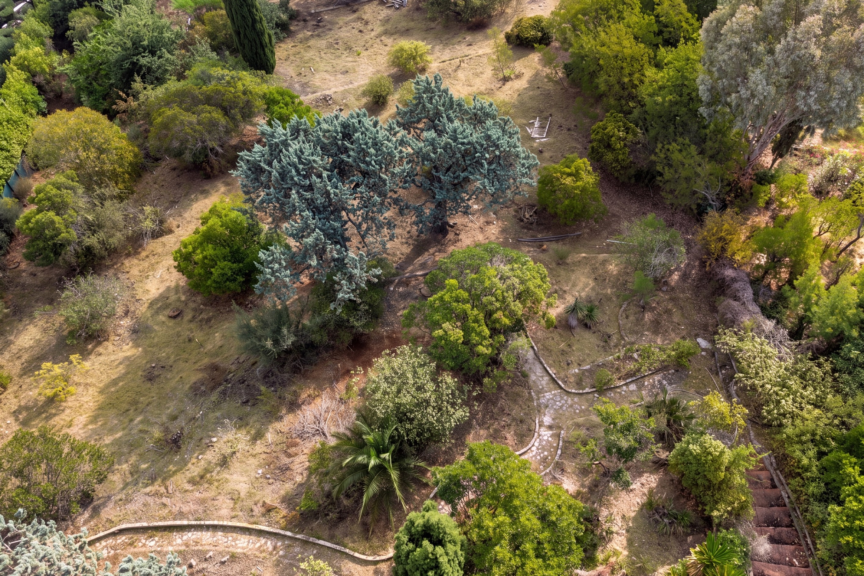  Super Cannes, 6,071 sqm of land with cleared permit for two contemporary sea vi… - 物件實景