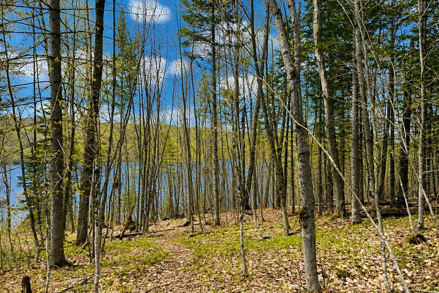  Ivry-sur-le-Lac, Laurentides - 物件實景