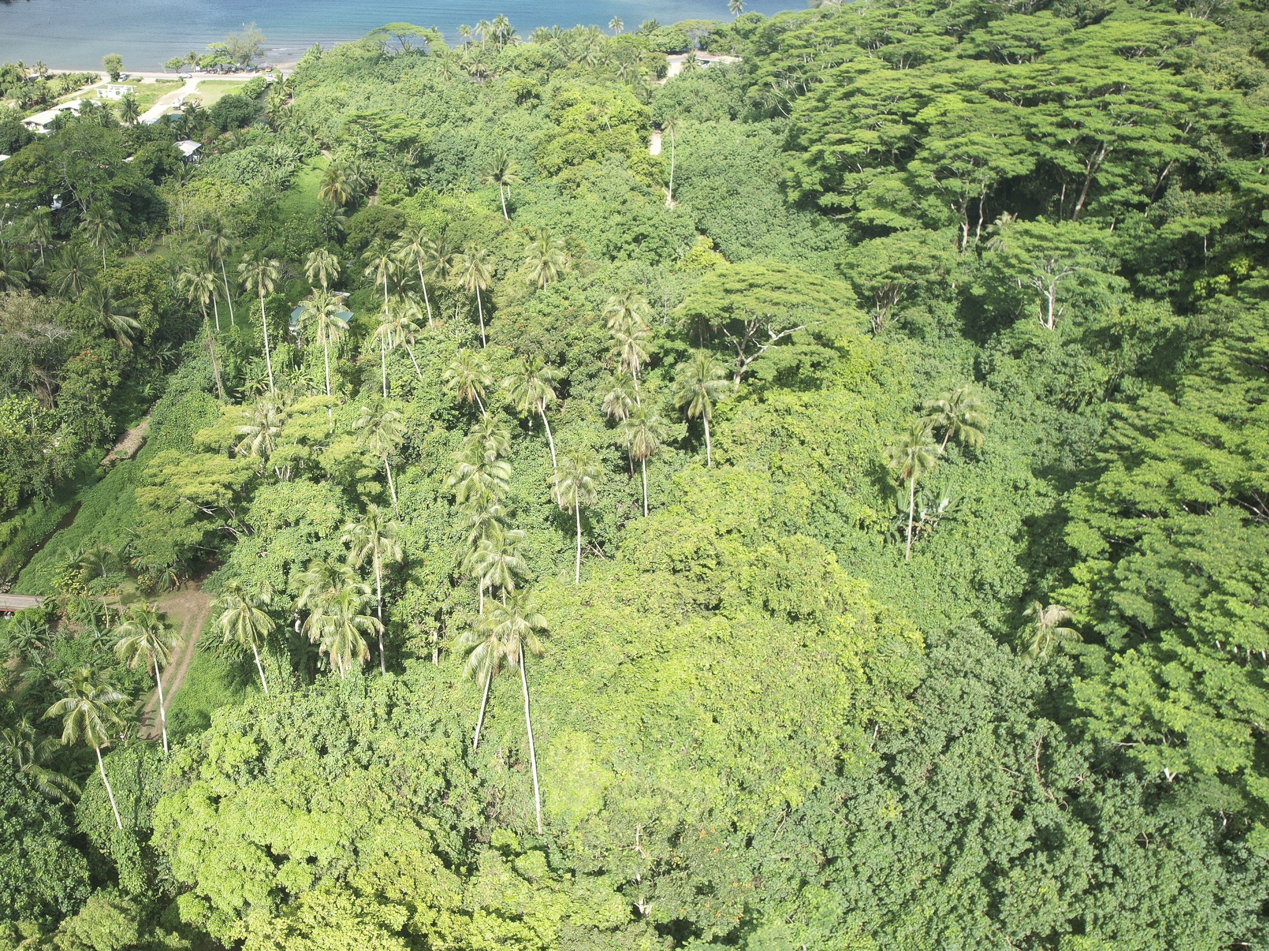  Moorea – Vaiare – Large plot near the dock - 物件實景