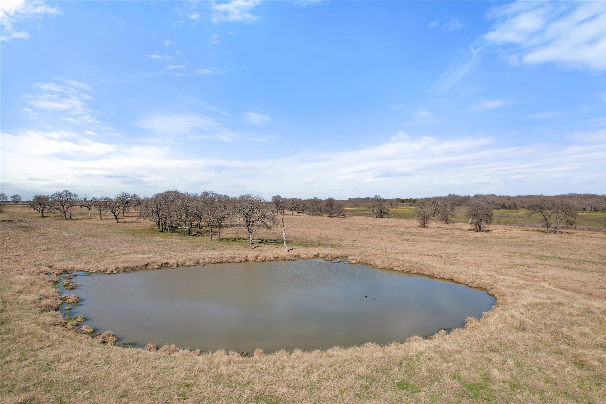 Frost, Texas, 76641, United States, ,Land,For Sale,1978385