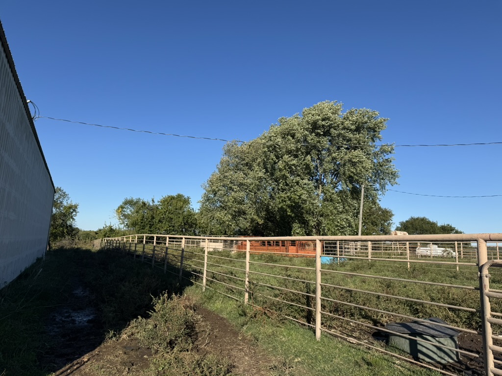 Pierce City, Missouri, 65723, United States, 2 Bedrooms Bedrooms, ,2 BathroomsBathrooms,Residential,For Sale,1987385