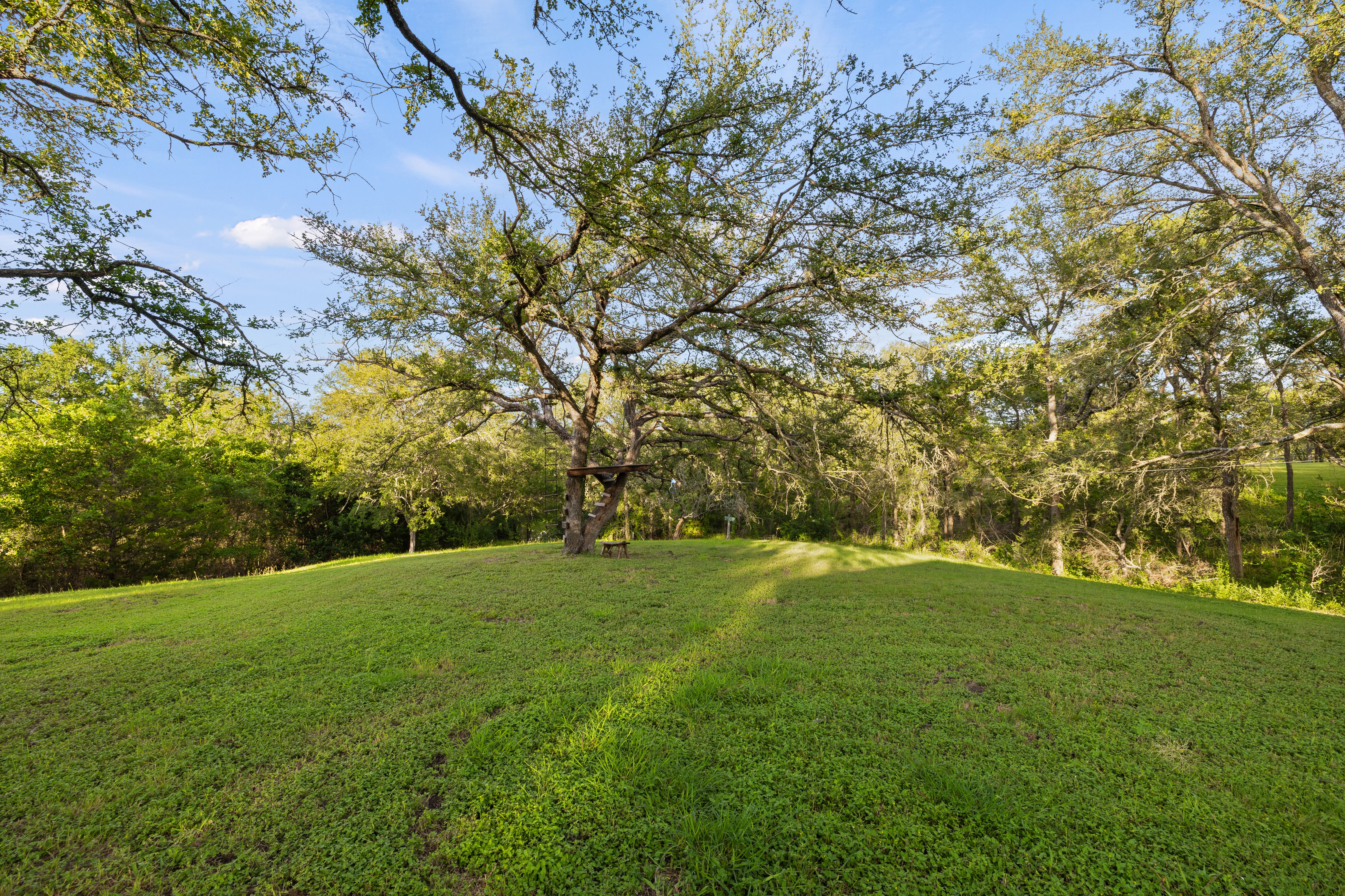  Manor Modern Ranch - 物件實景